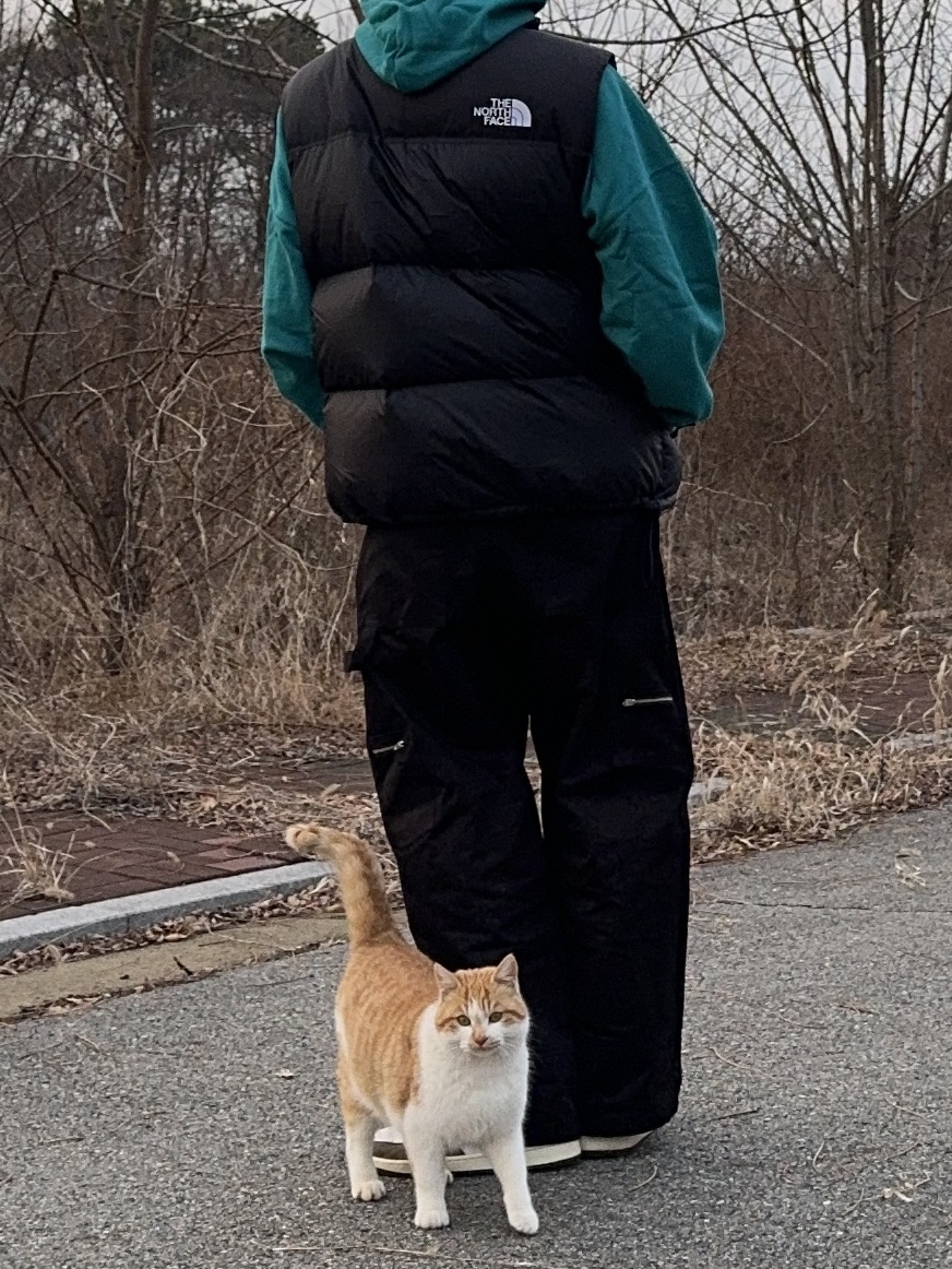 The North Face 1996 Retro Nuptse Vest Black, Jordan 1 x Travis Scott Retro High OG SP Mocha 착용 스타일 - 7