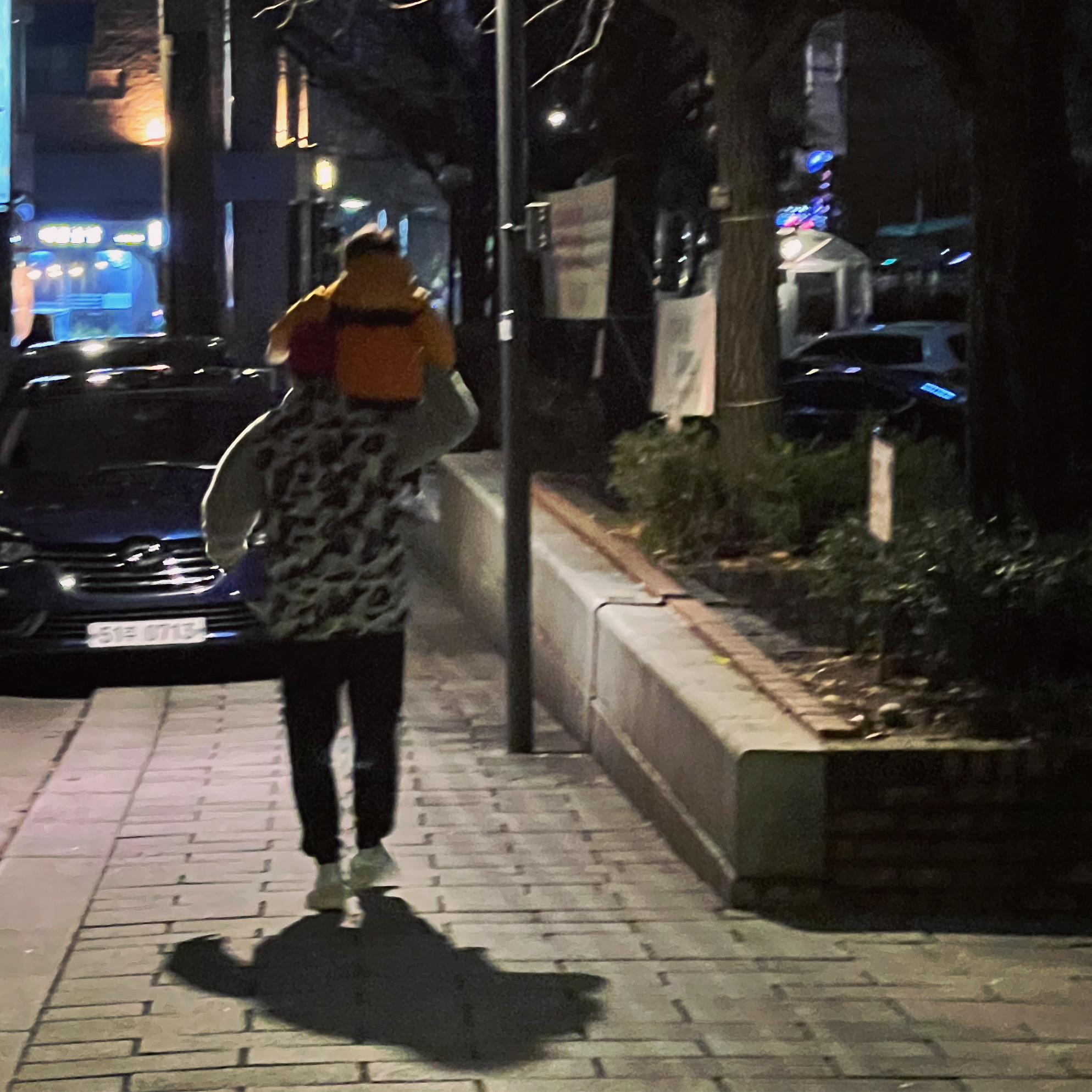 Canada Goose x BAPE Freestyle Vest Green, Patagonia Classic Retro-X Jacket Pelican Dark Borealis Green 착용 스타일 - 2