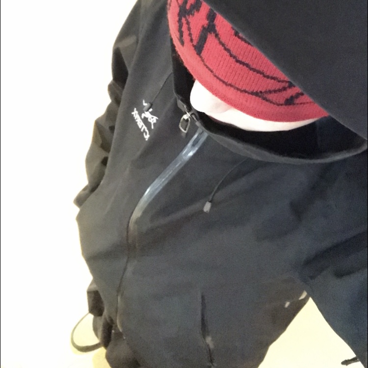 Arc'teryx Beta LT Jacket Black, Vans Skate Half Cab Pig Suede Green 착용 스타일