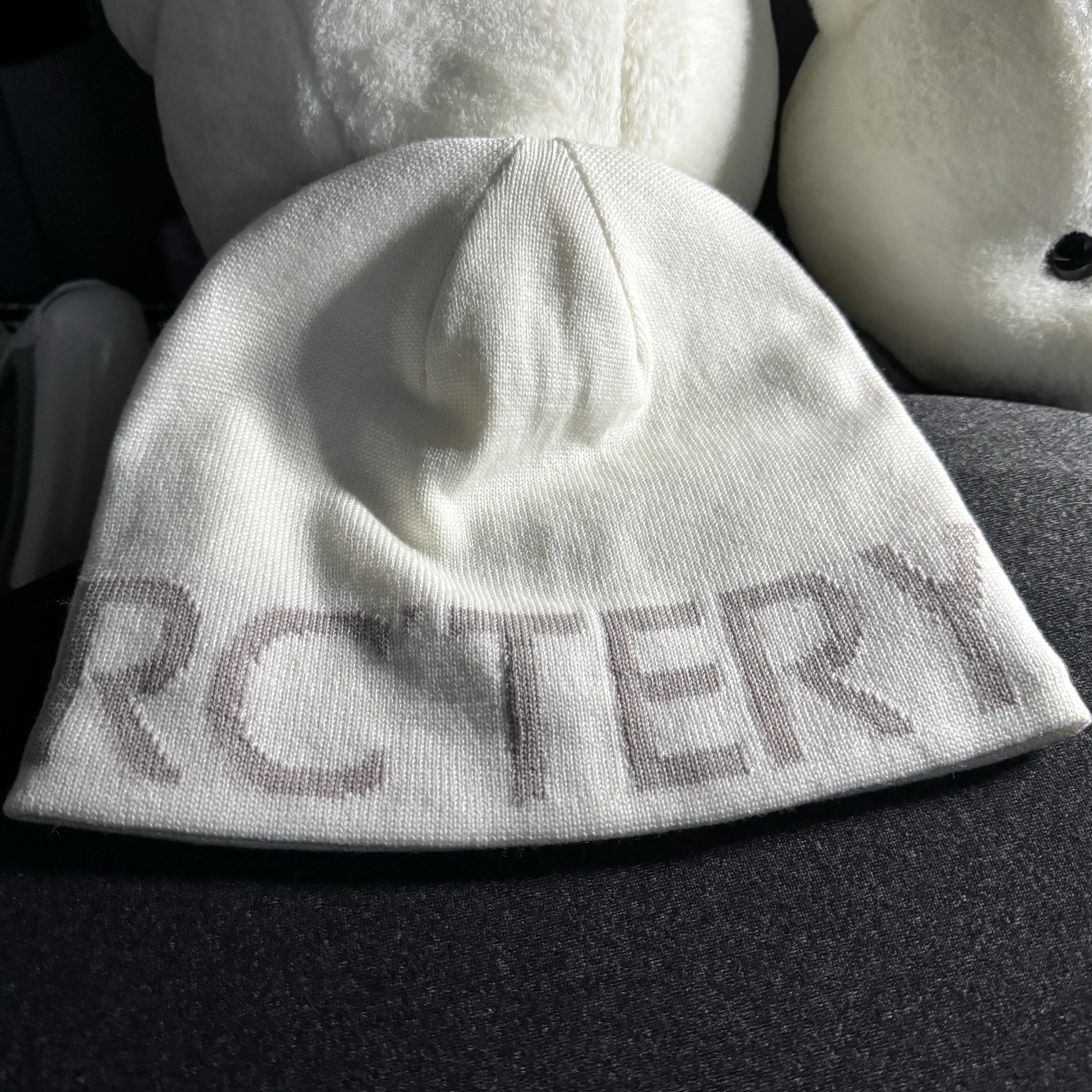 Arc'teryx Word Head Toque Arctic Silk 착용 스타일 - 1