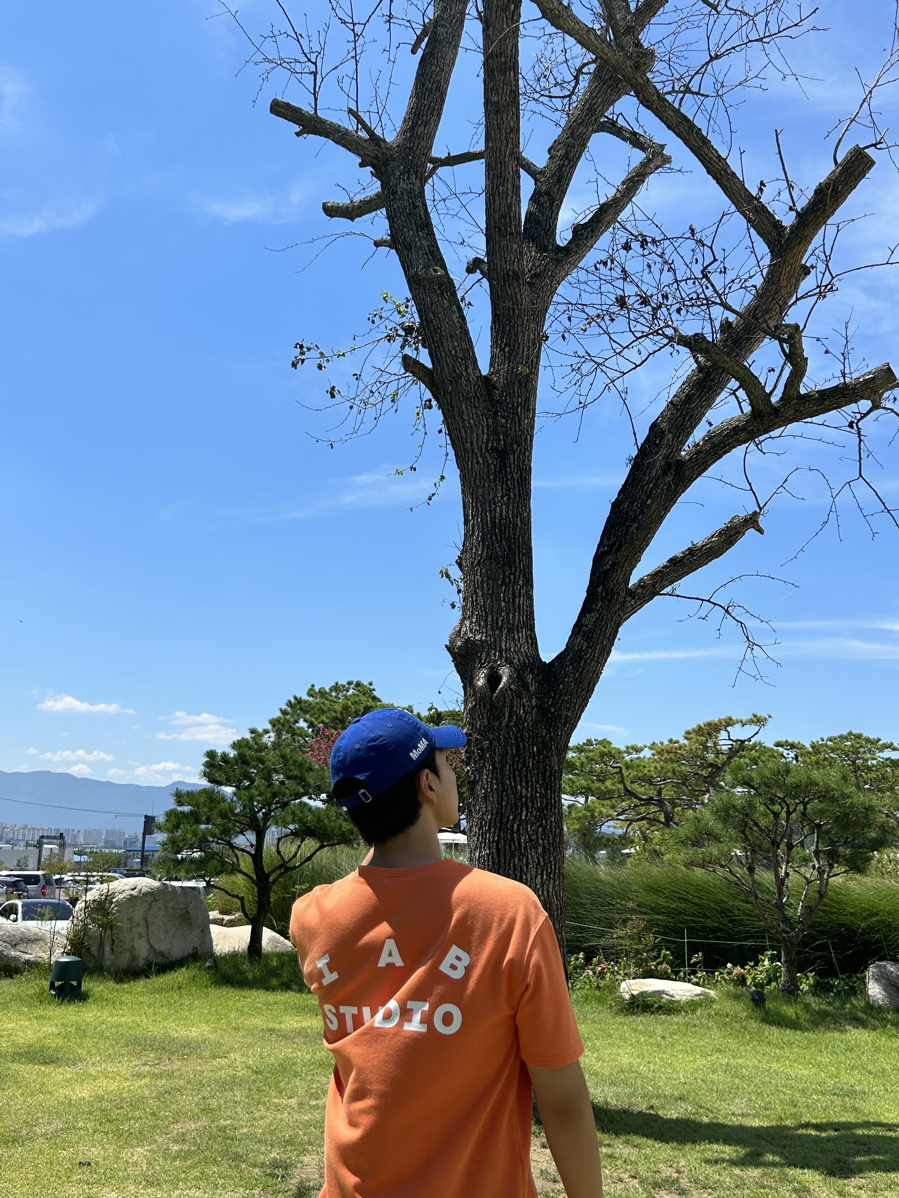 IAB Studio T-Shirt Orange, New Era x MoMA New York Yankees Cap Bright Royal 착용 스타일