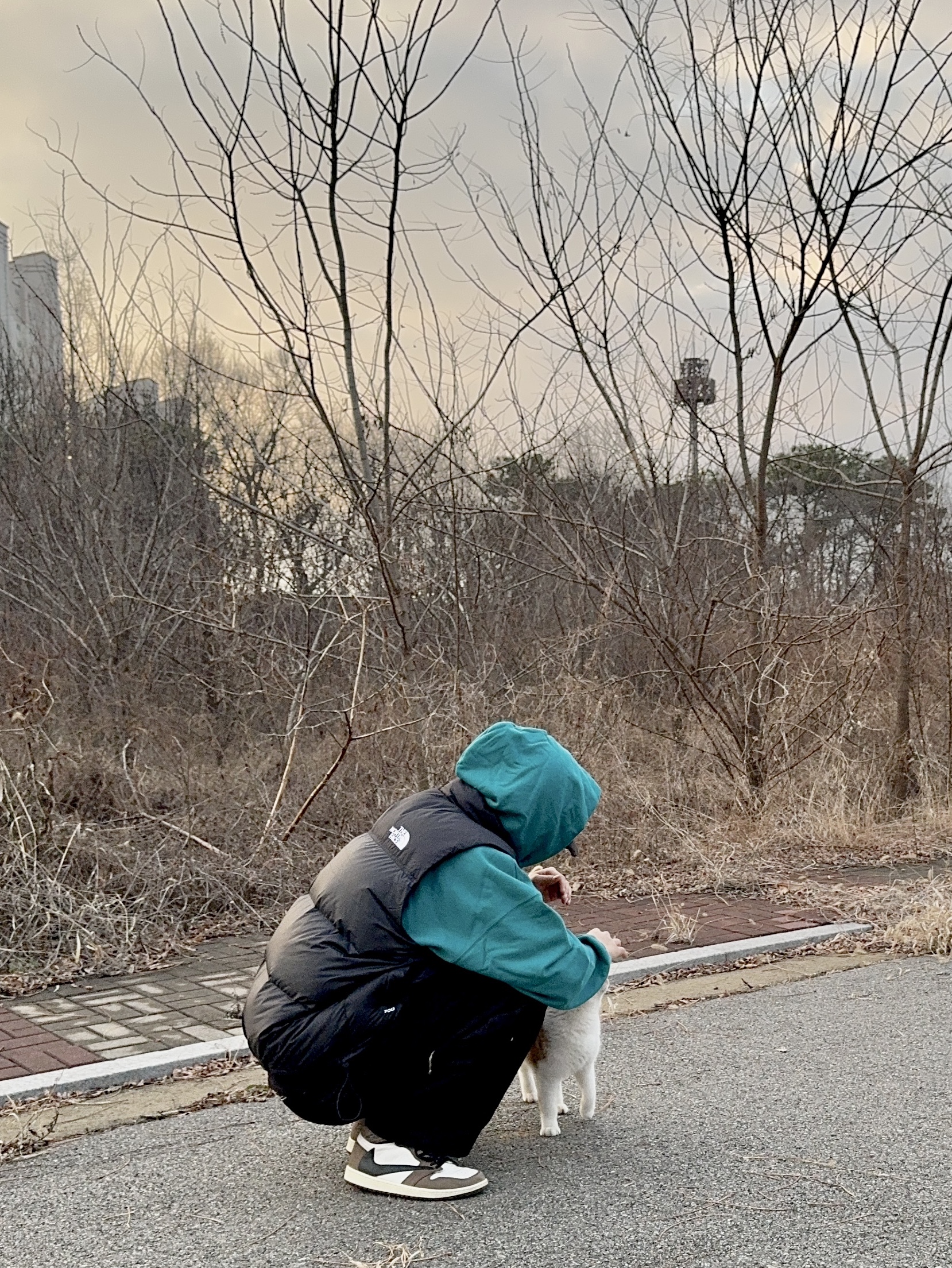 The North Face 1996 Retro Nuptse Vest Black, Jordan 1 x Travis Scott Retro High OG SP Mocha 착용 스타일 - 6