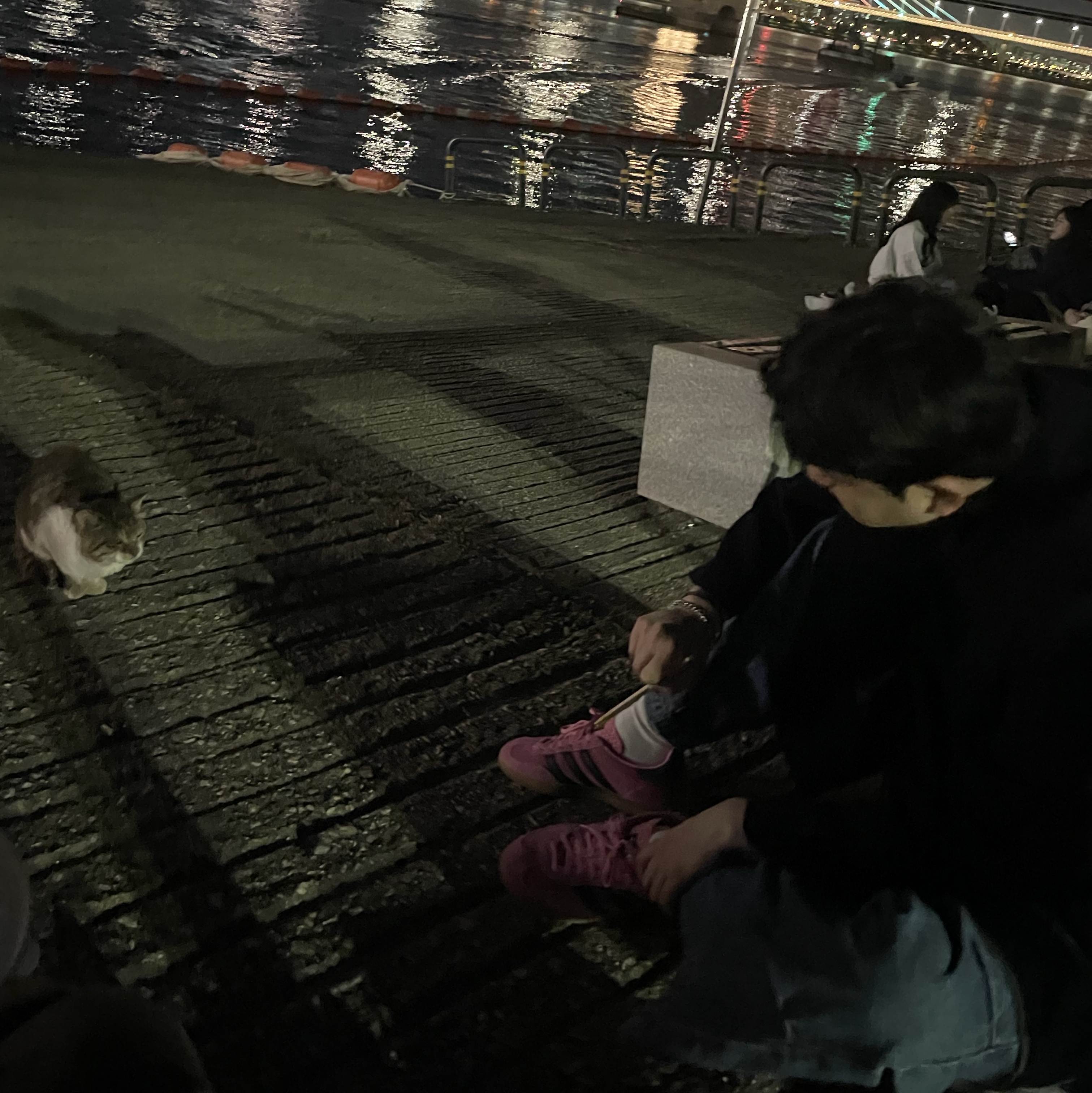 (W) 아디다스 가젤 인도어 블리스 핑크 착용 스타일