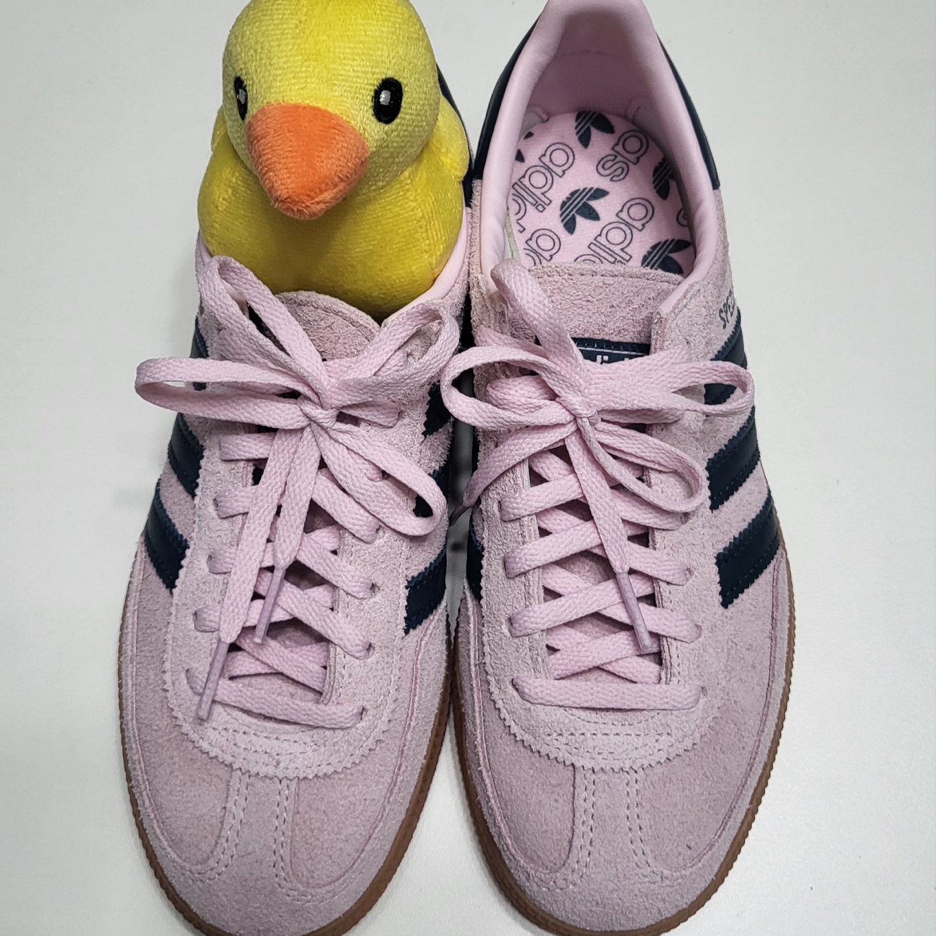 (W) Adidas Spezial Handball Clear Pink 착용 스타일
