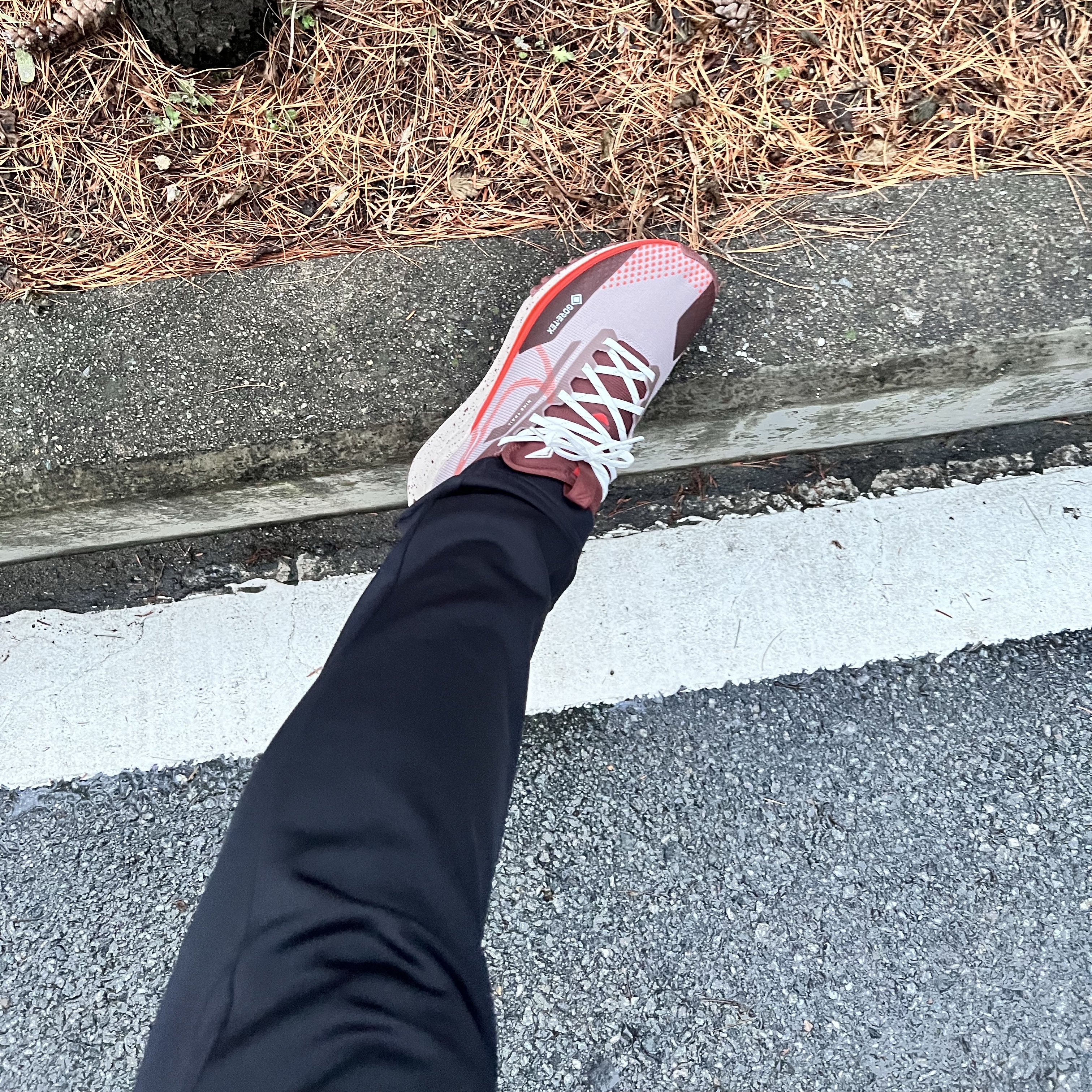 Nike React Pegasus Trail 4 Gore-Tex Diffused Taupe Dark Pony 착용 스타일 - 2