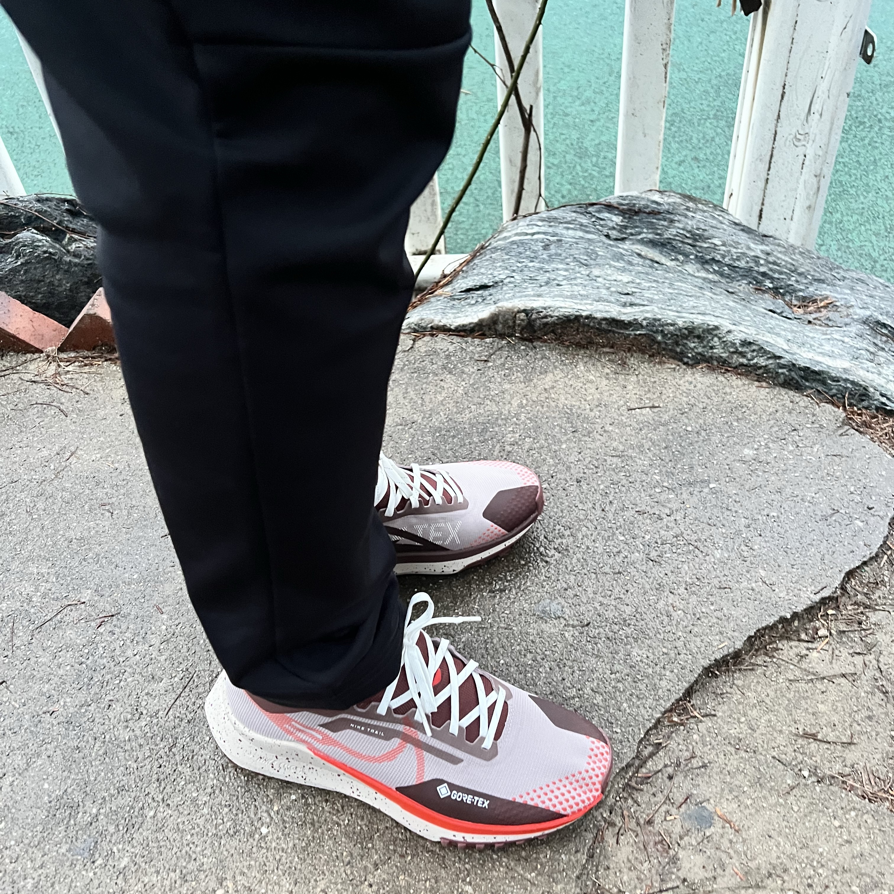 Nike React Pegasus Trail 4 Gore-Tex Diffused Taupe Dark Pony 착용 스타일 - 1