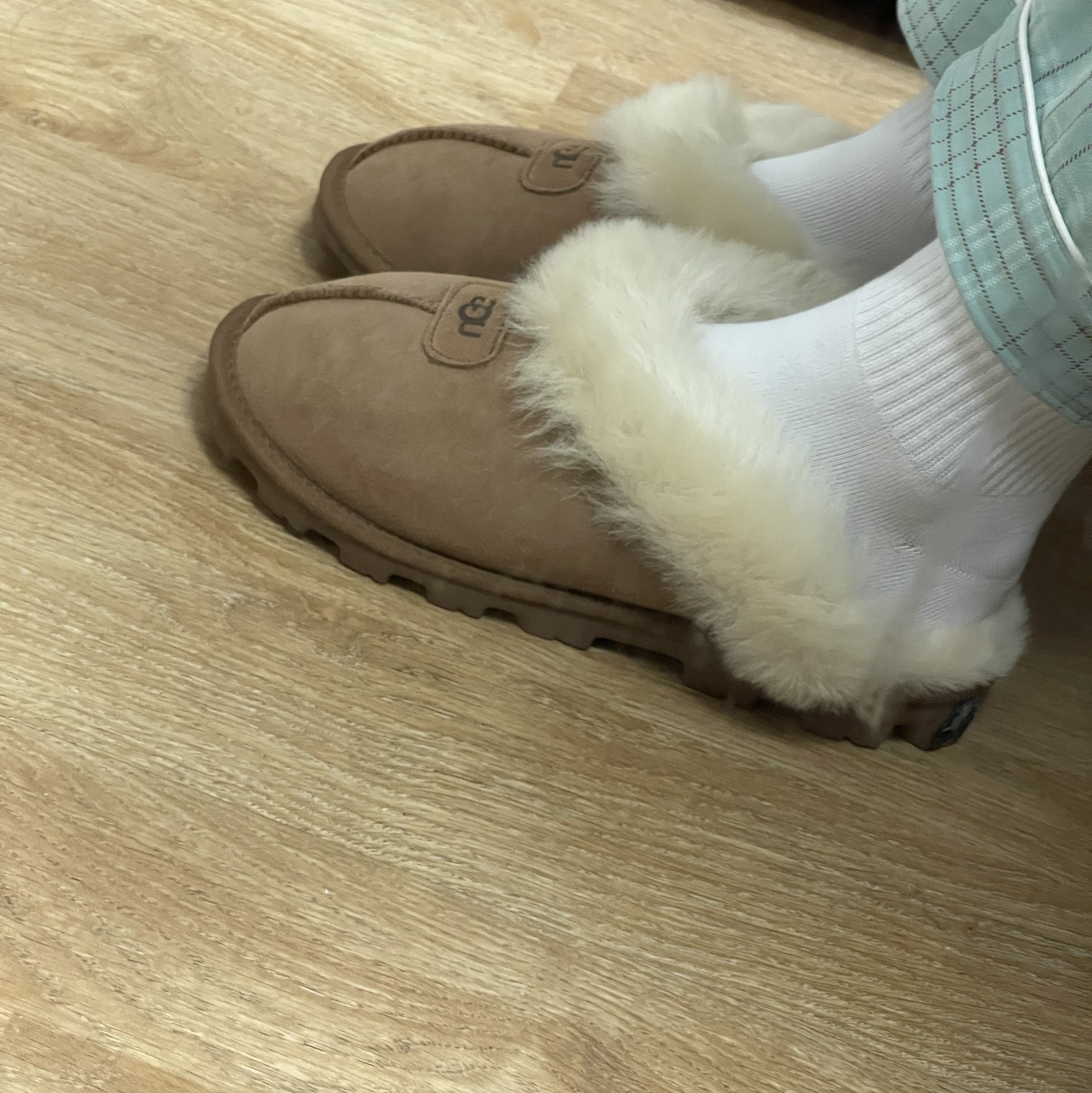 (W) UGG Coquette Slipper Chestnut 착용 스타일