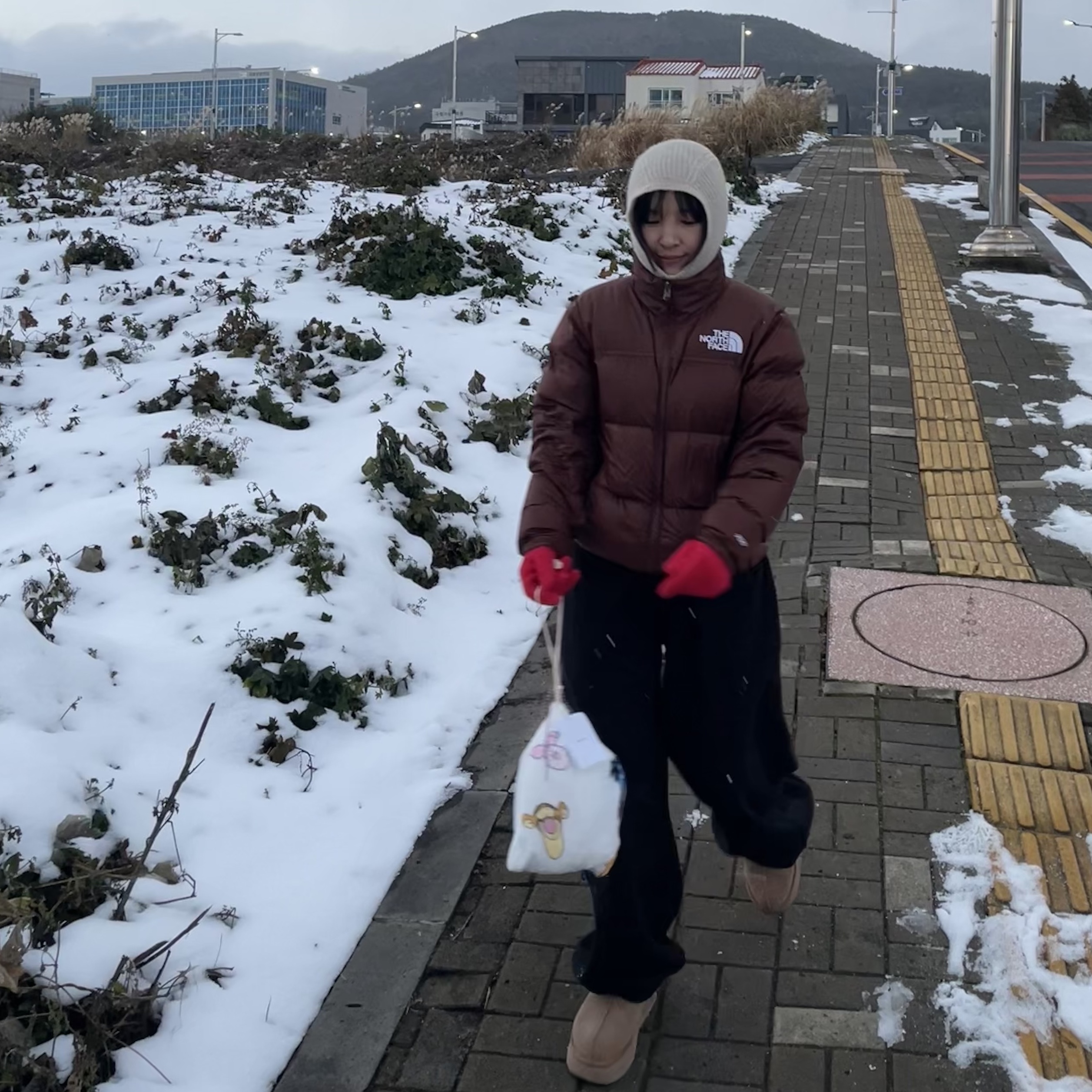 (W) The North Face 1996 Retro Nuptse Jacket Dark Oak, (W) UGG Tazz Slipper Chestnut 착용 스타일