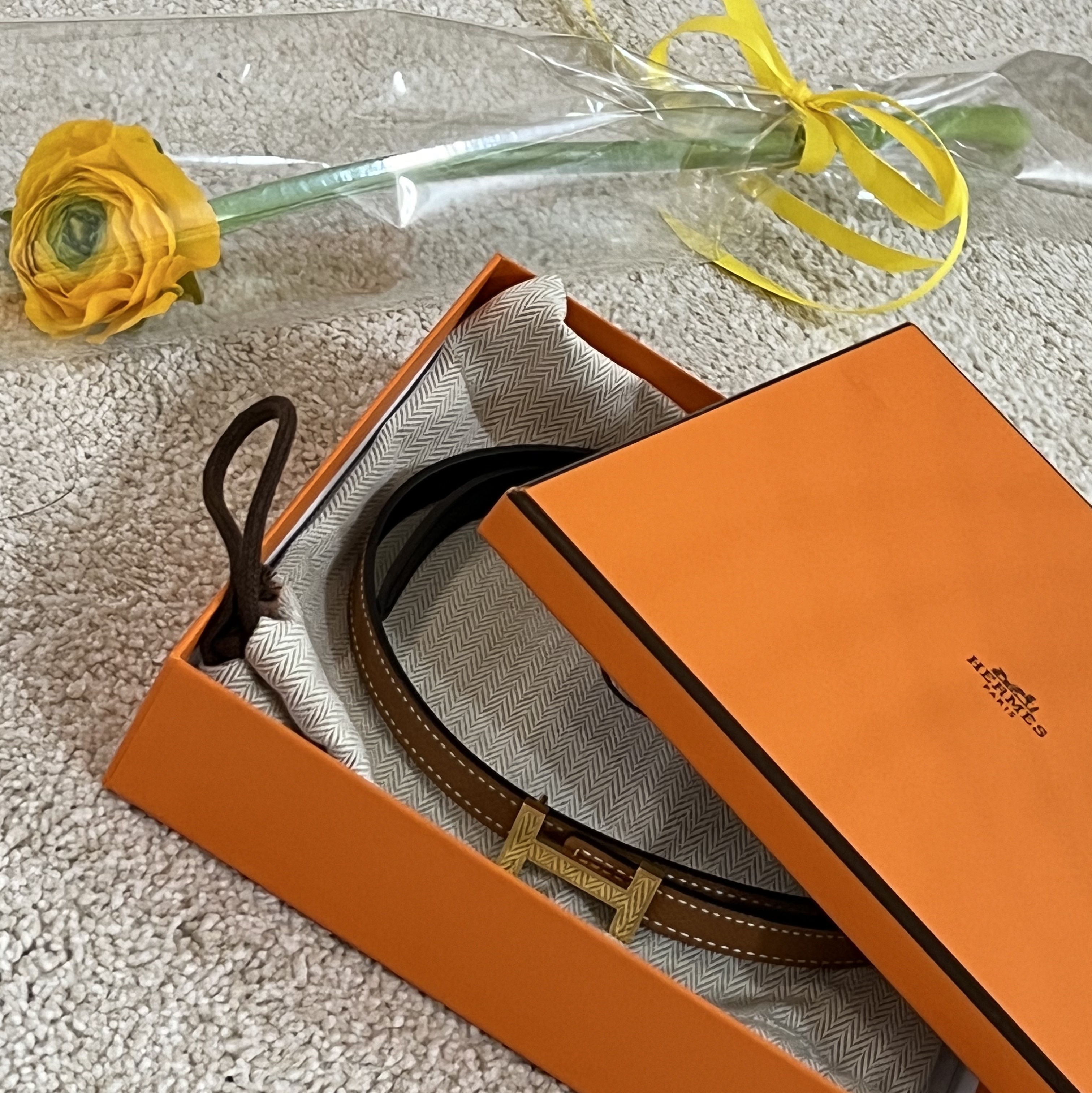 (W) 에르메스 포커스 벨트 버클 & 리버시블 레더 스트랩 스위프트 앱송 13mm & 골드 하드웨어 누아 골드 착용 스타일 - 1