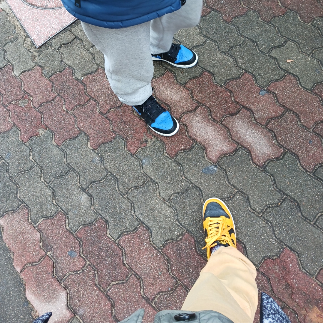 Nike Dunk Low Retro Championship Goldenrod, (GS) Jordan 1 Retro Royal 2017 착용 스타일