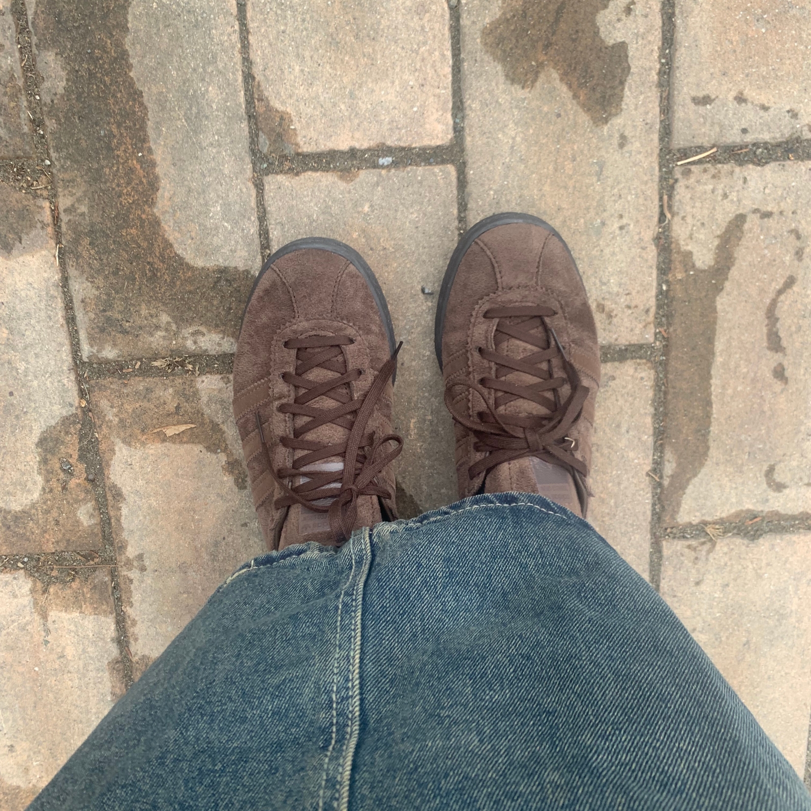 Adidas Tobacco Gruen Dark Brown 착용 스타일 - 1