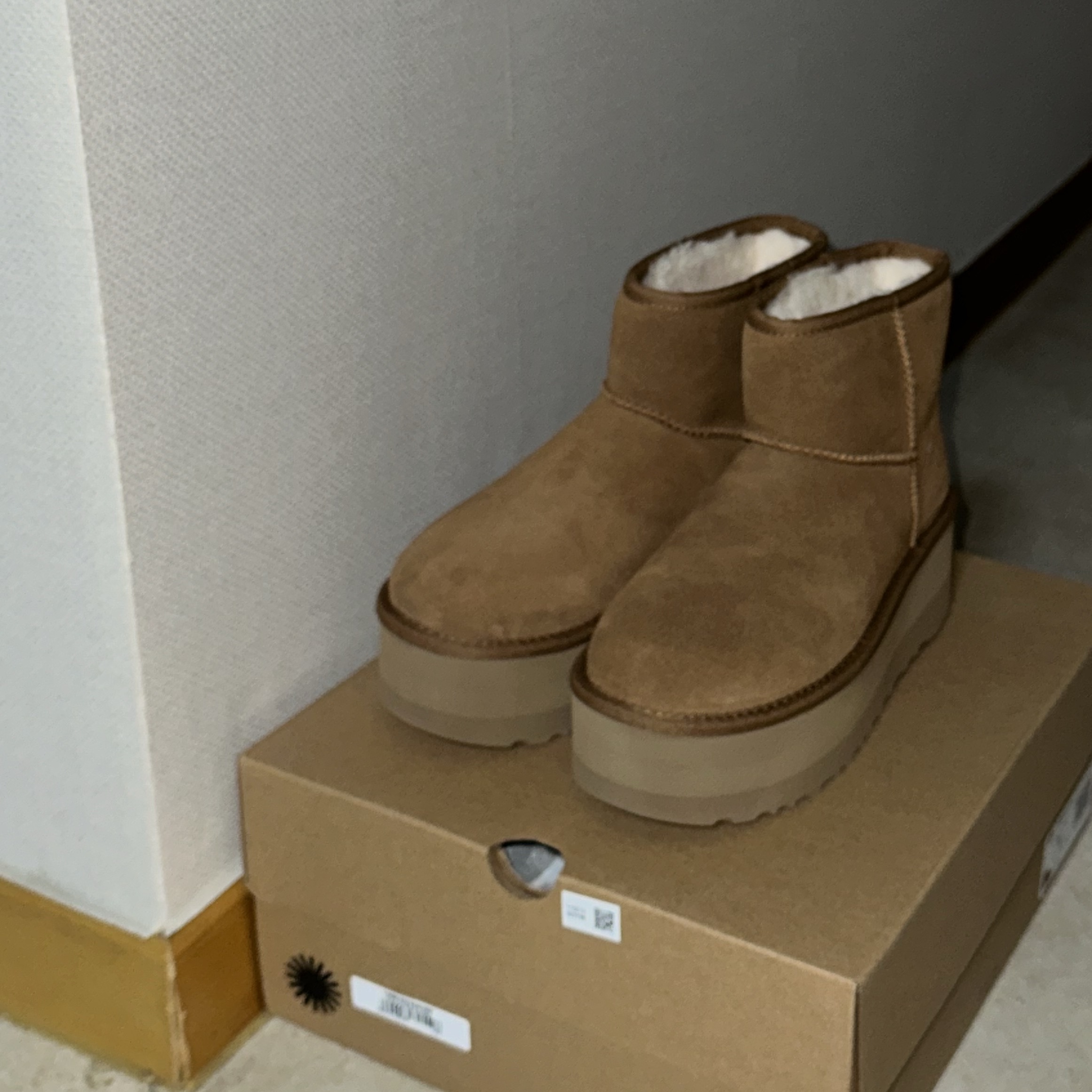 (W) UGG Classic Mini Platform Boots Chestnut 착용 스타일