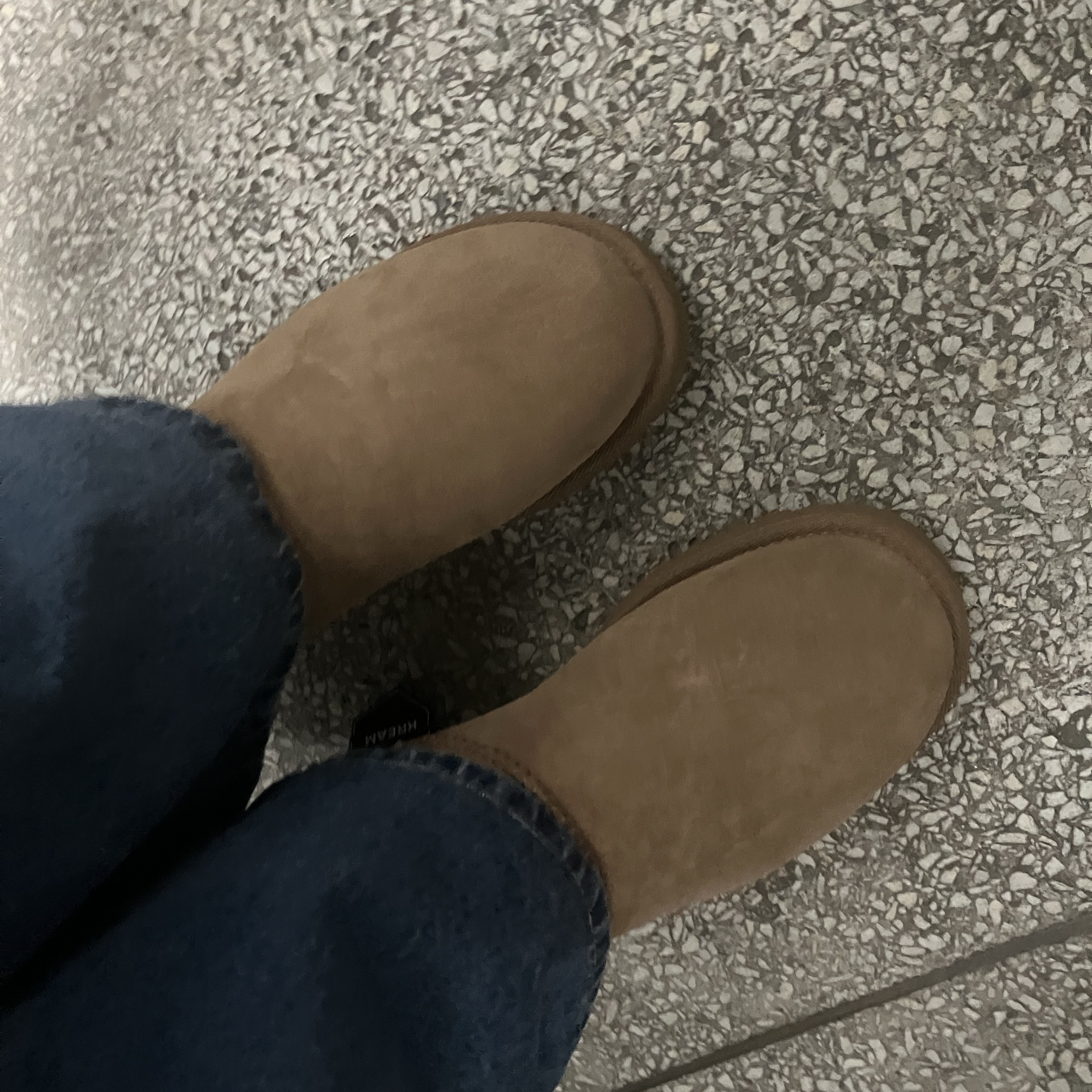 (W) UGG Classic Mini II Boots Chestnut 착용 스타일