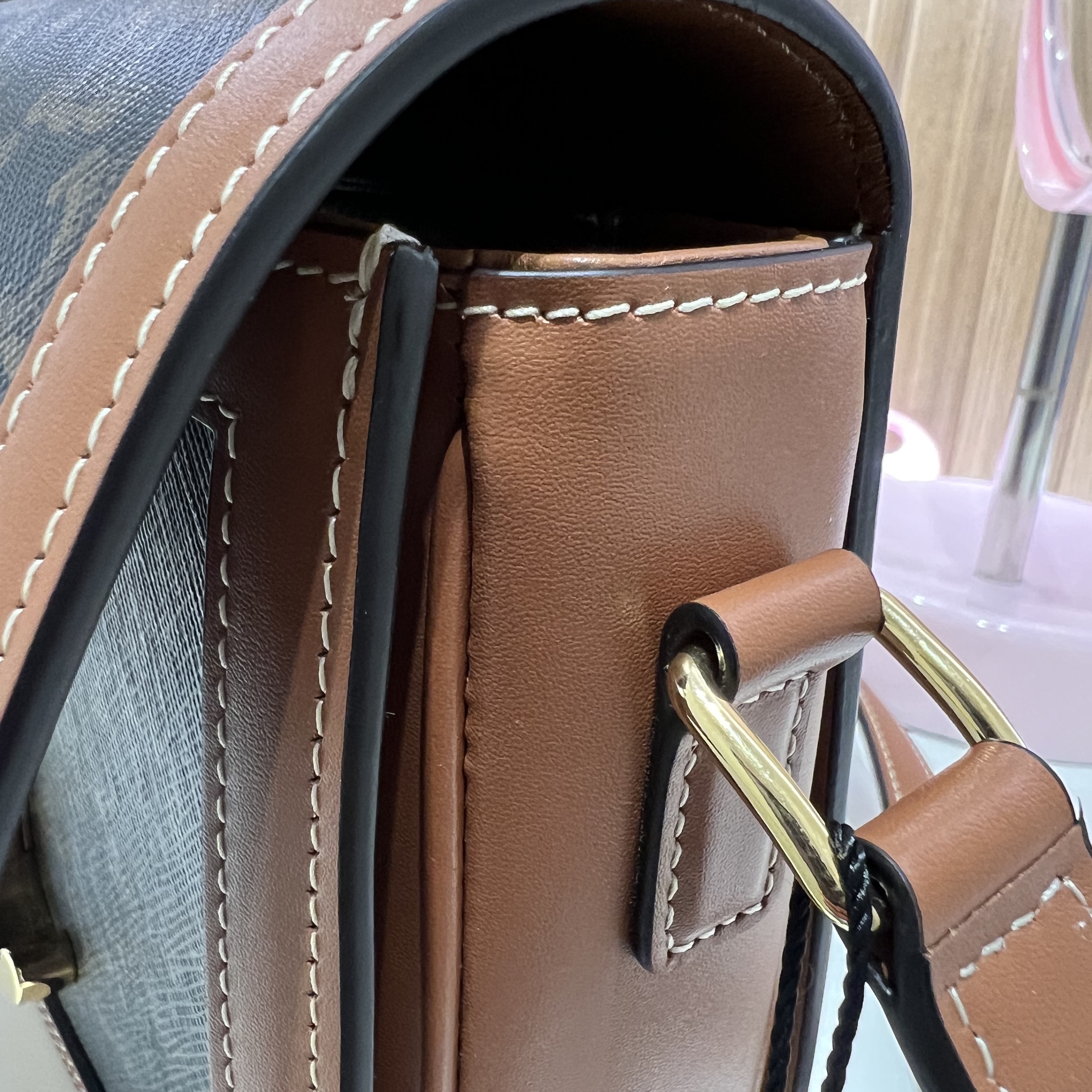 Celine Teen Triomphe Bag in Triomphe Canvas and Calfskin Tan 착용 스타일 - 8