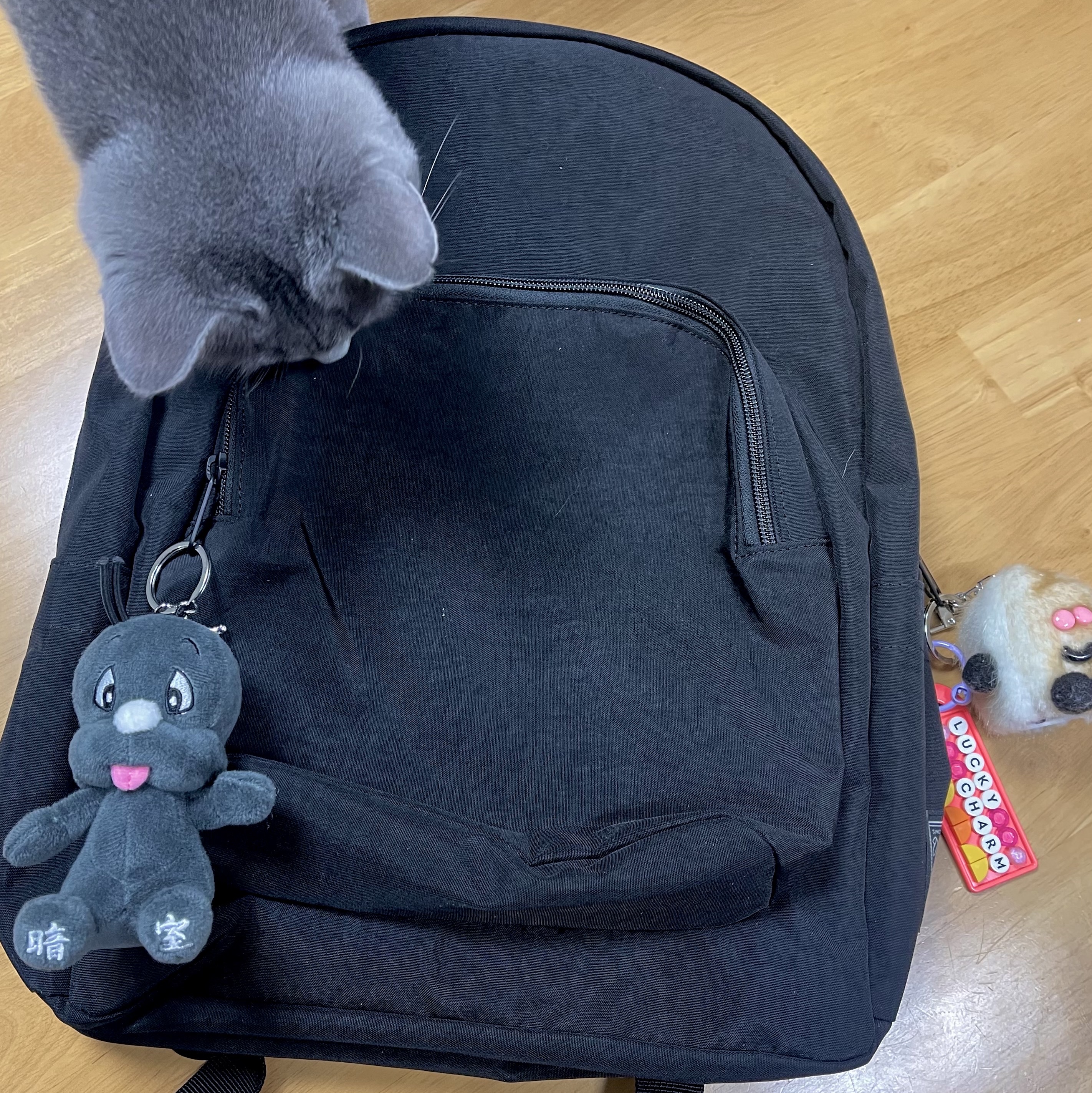 Darkr8m Studio x Dooly Dooly Keyring Charcoal 착용 스타일 - 2