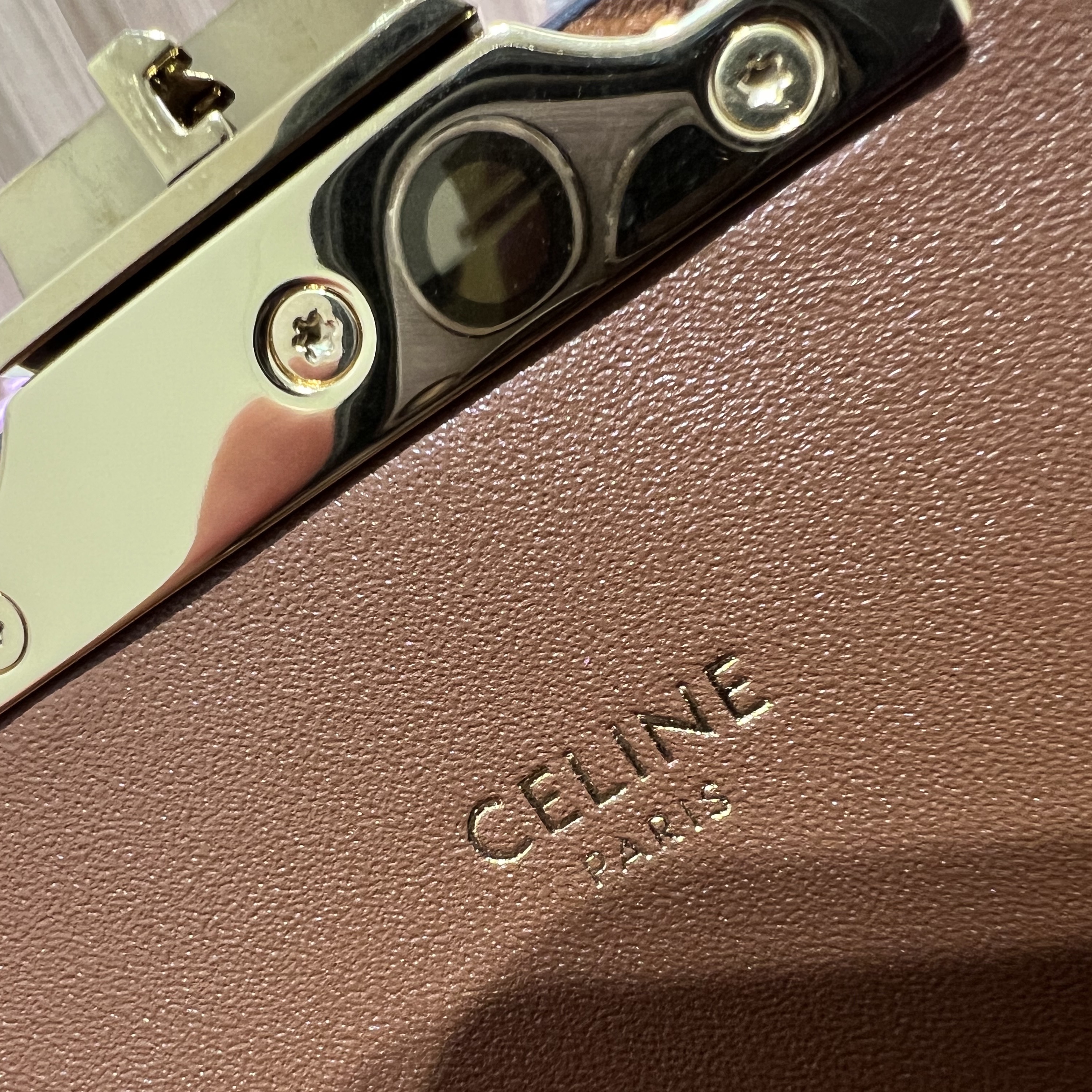 Celine Teen Triomphe Bag in Triomphe Canvas and Calfskin Tan 착용 스타일 - 4