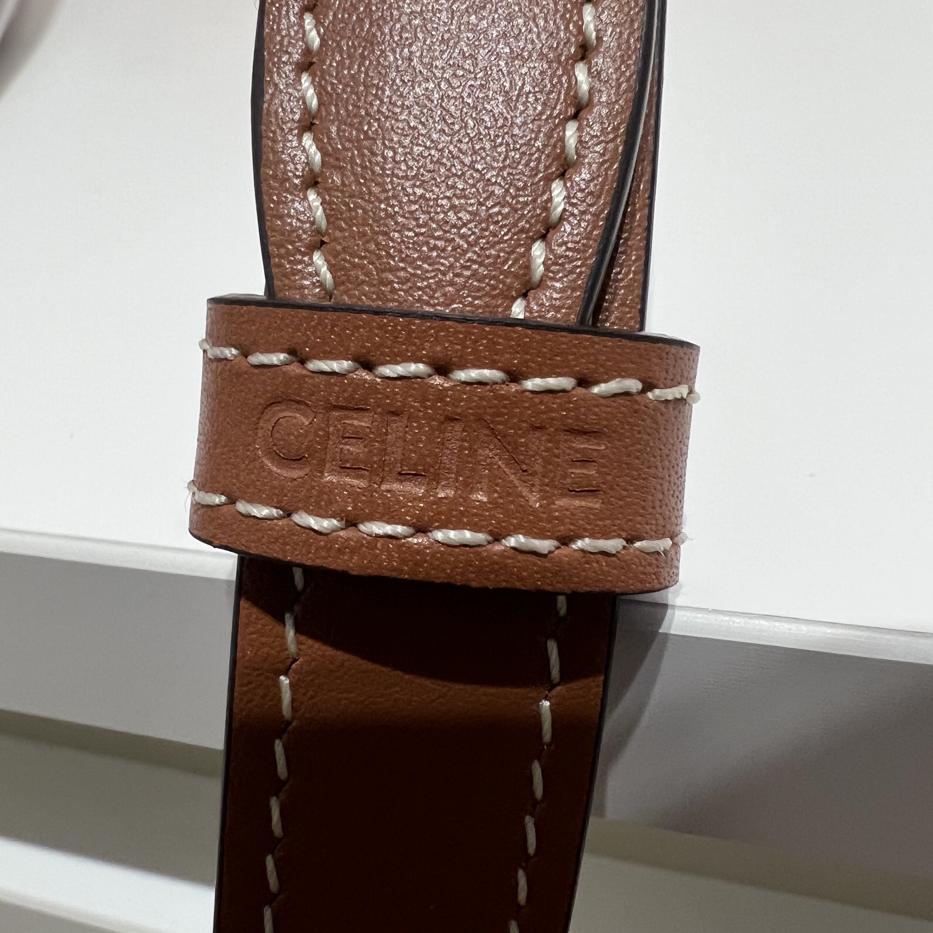 Celine Teen Triomphe Bag in Triomphe Canvas and Calfskin Tan 착용 스타일 - 7