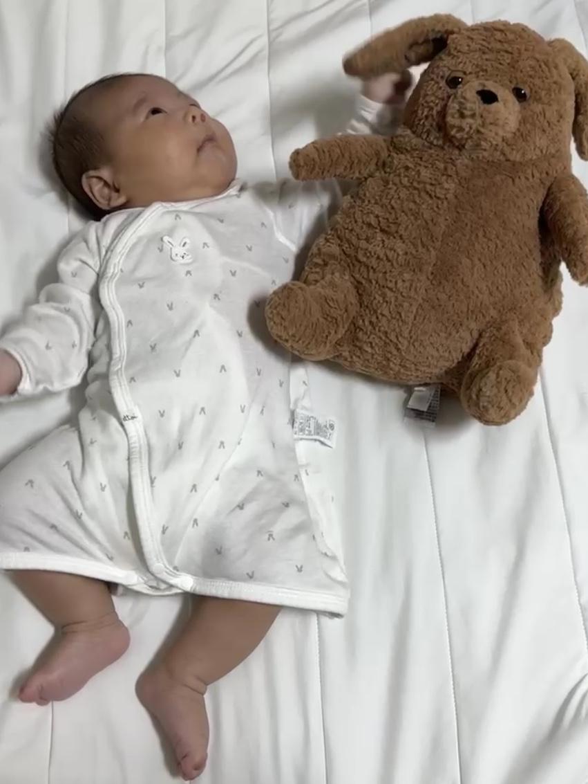 Jellycat Amore Dog Brown 착용 스타일