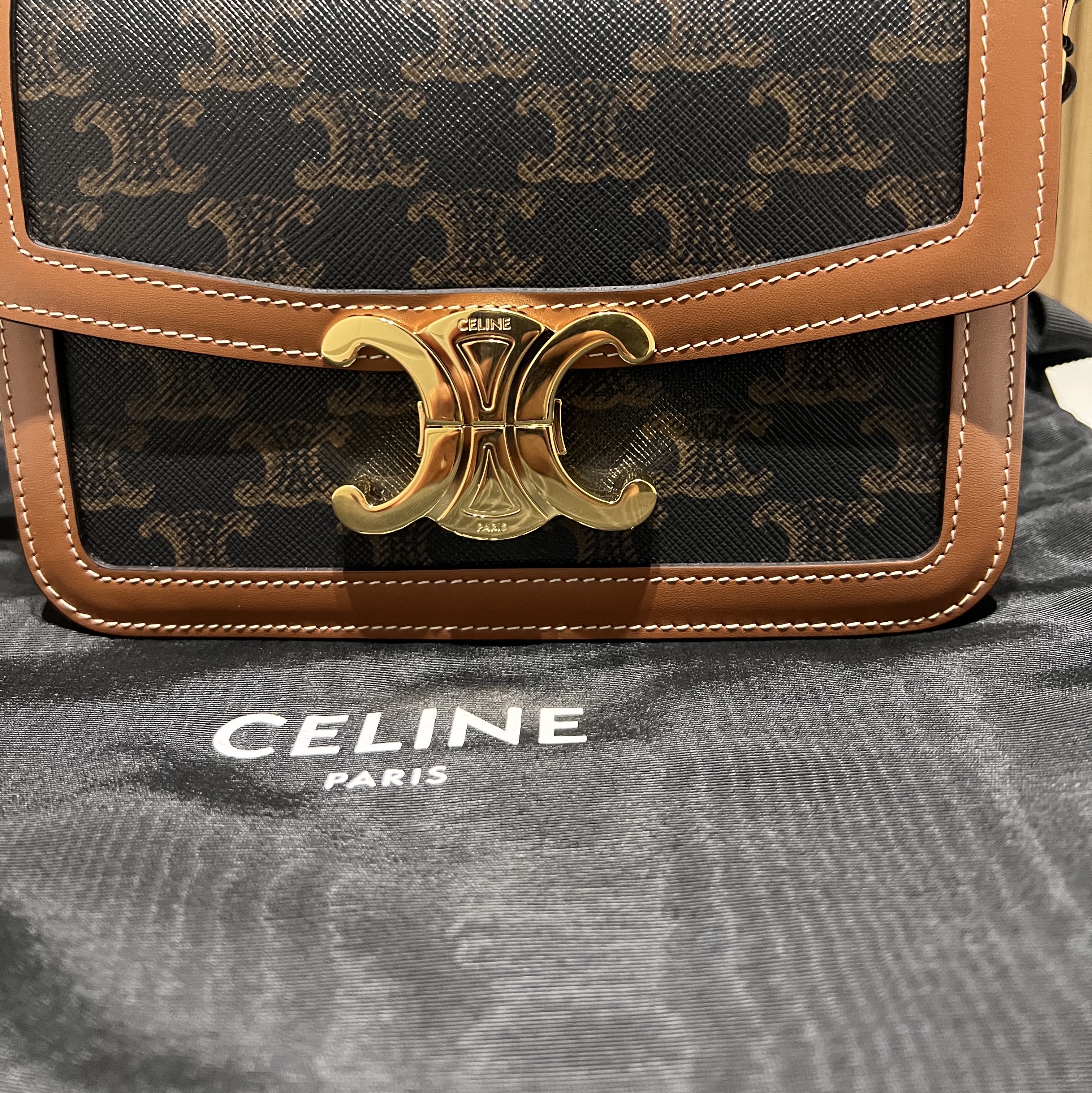 Celine Teen Triomphe Bag in Triomphe Canvas and Calfskin Tan 착용 스타일 - 1