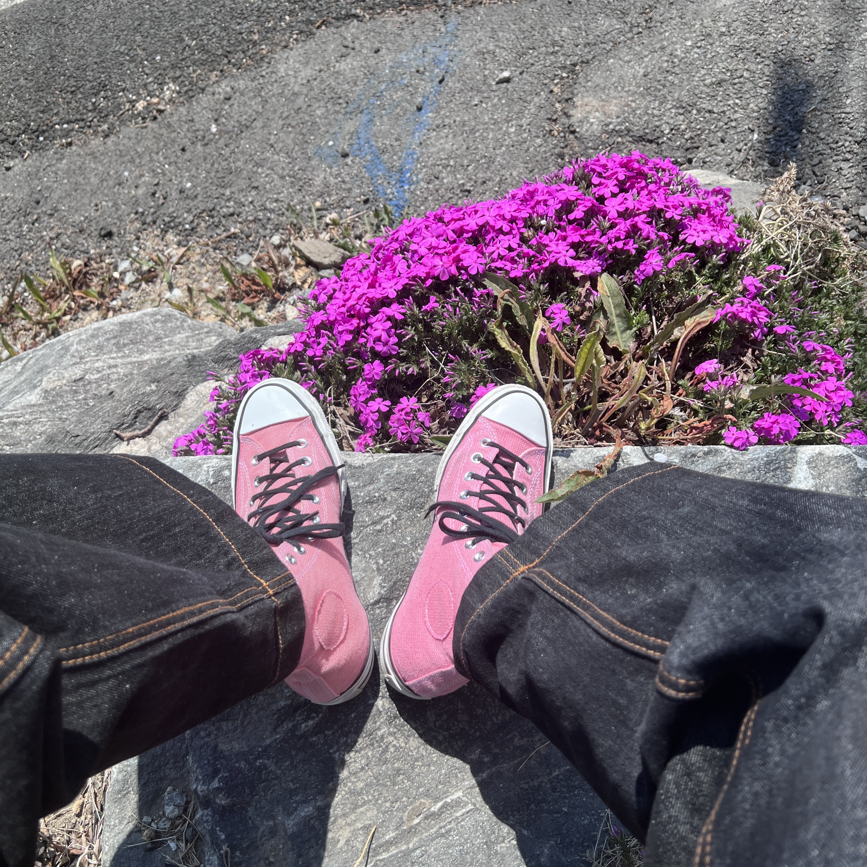 Converse x Stussy Chuck 70 High Plumeria 착용 스타일