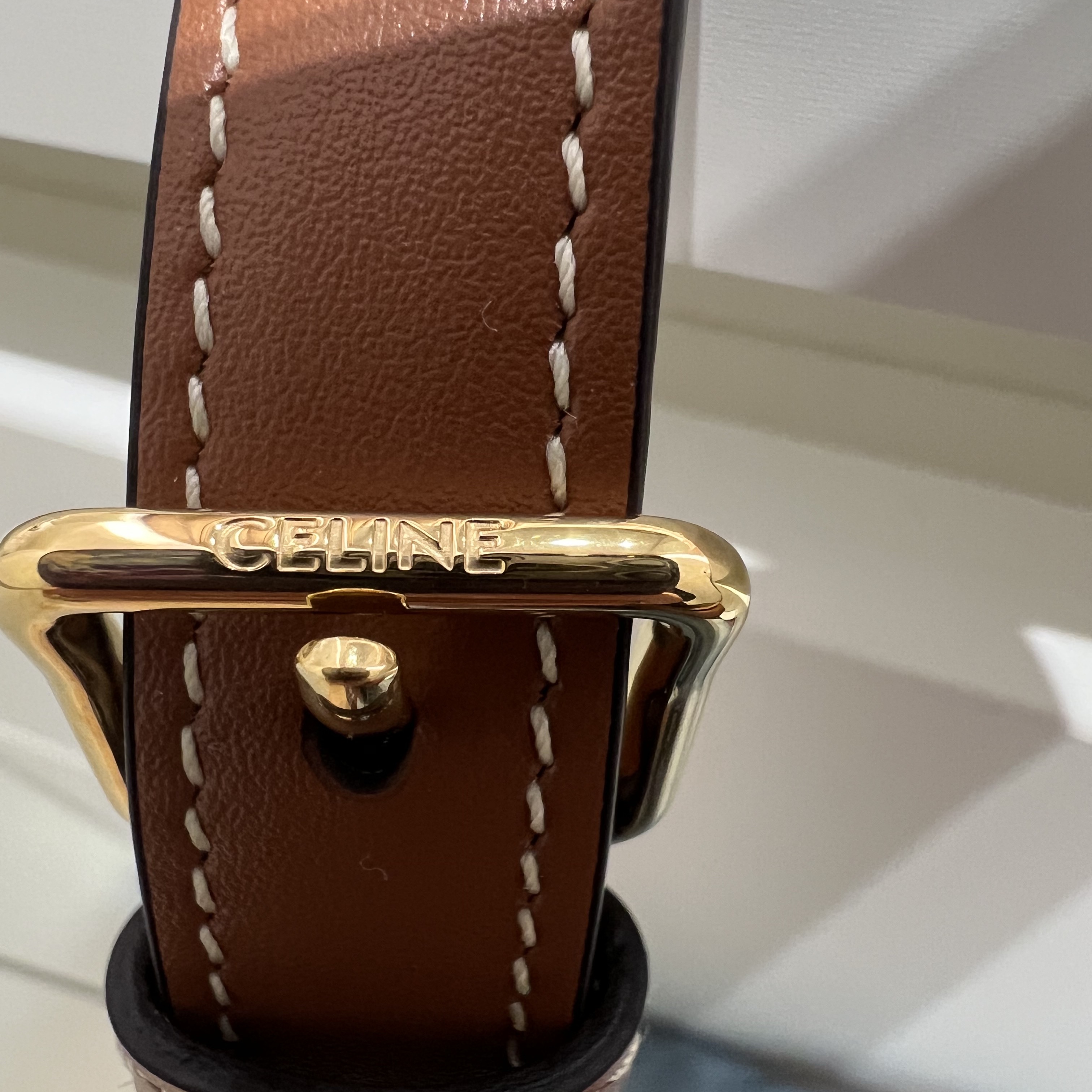 Celine Teen Triomphe Bag in Triomphe Canvas and Calfskin Tan 착용 스타일 - 5