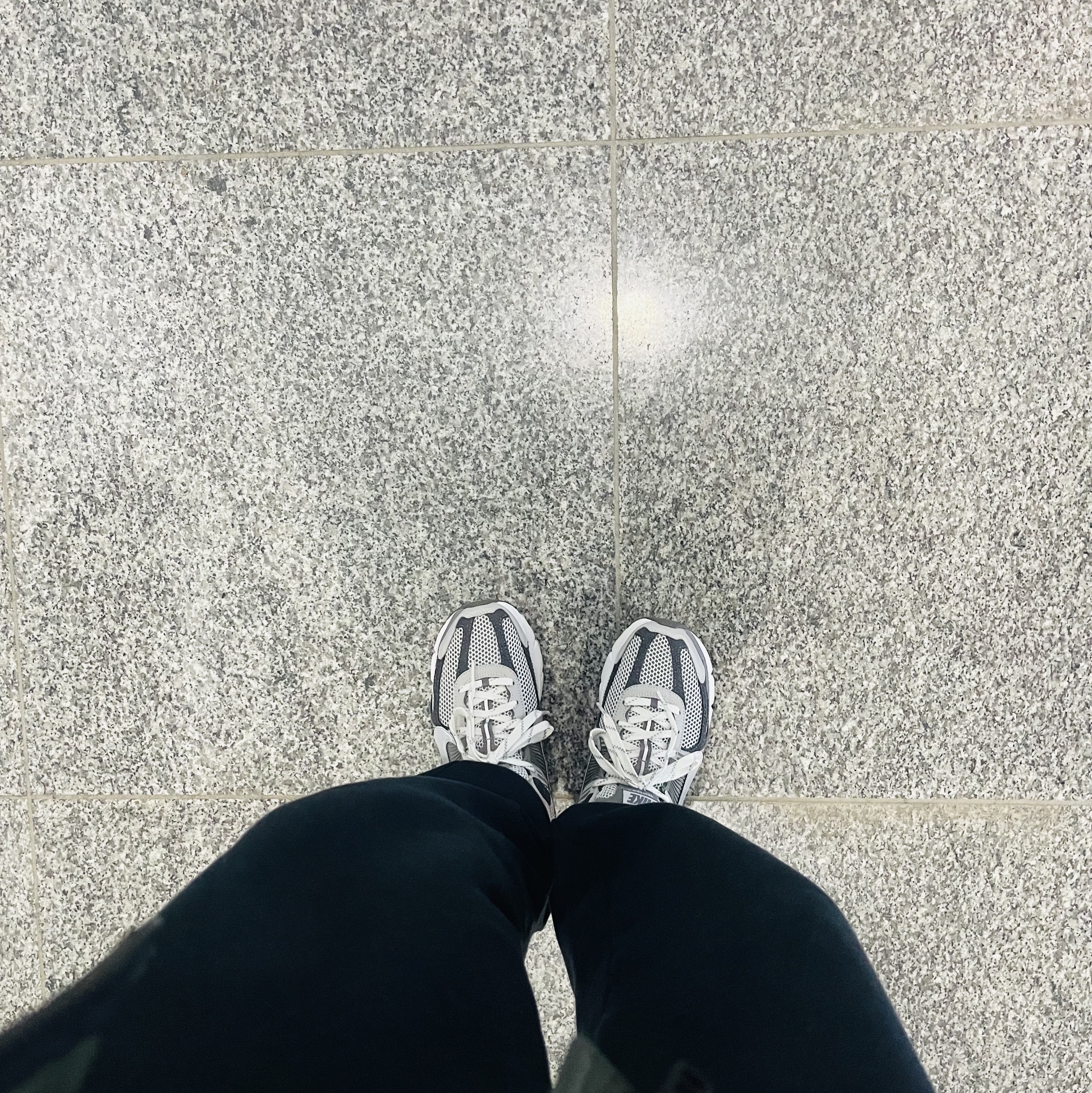 Nike Zoom Vomero 5 PRM Light Iron Ore and Flat Fewter 착용 스타일 - 1
