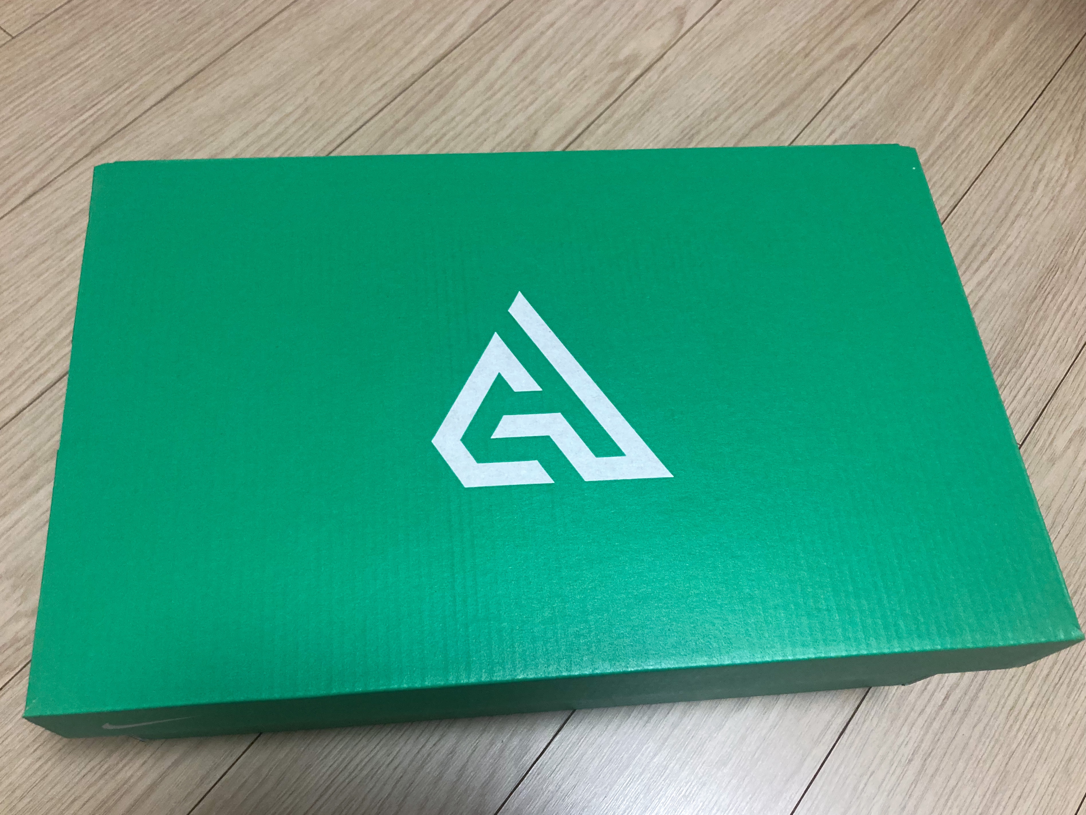Nike Giannis Immortality 3 EP Geode Teal 착용 스타일 - 2