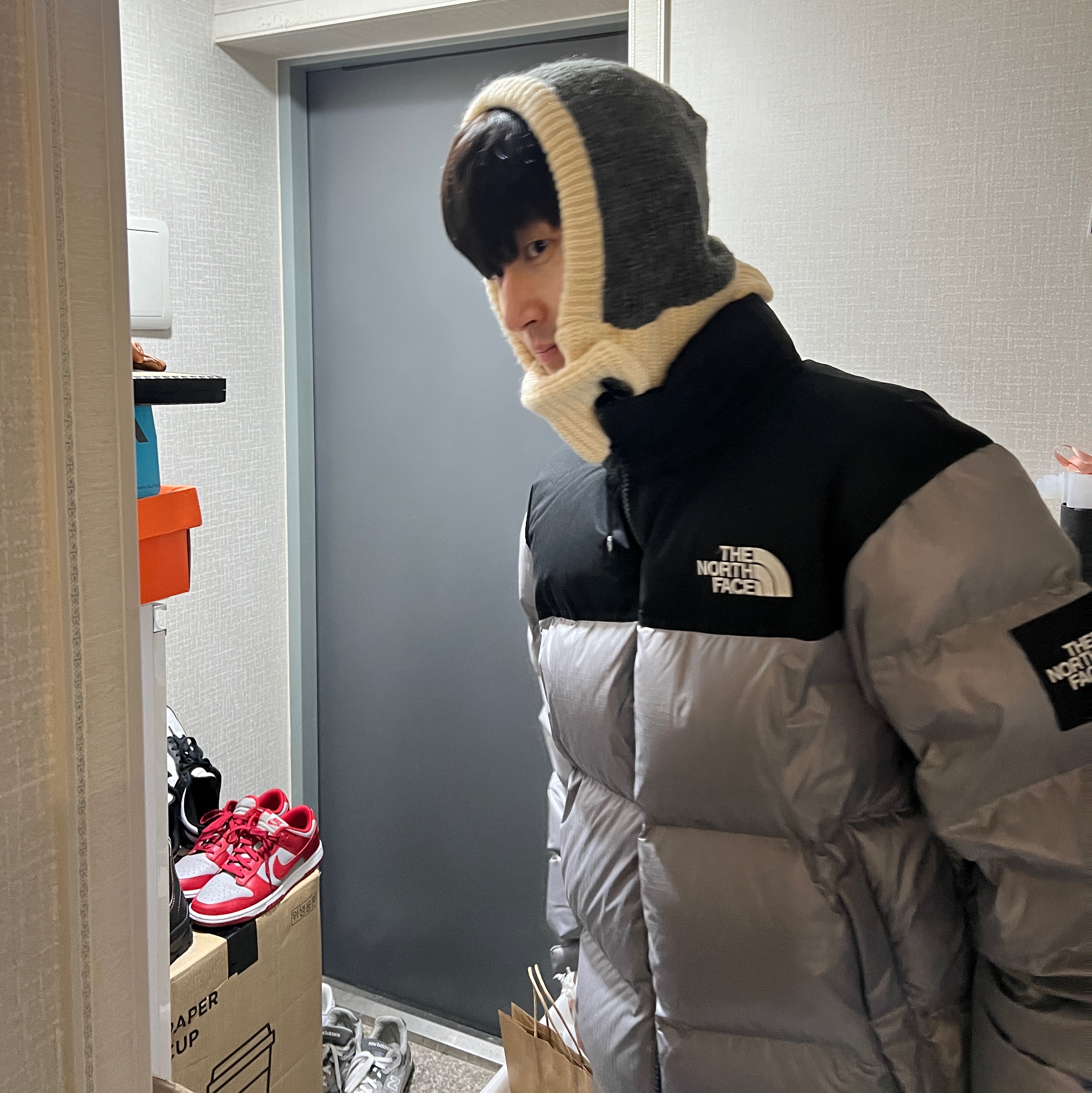 The North Face White Label Novelty Nuptse Down Jacket Heather Gray, Nike Dunk Low Retro Black 착용 스타일
