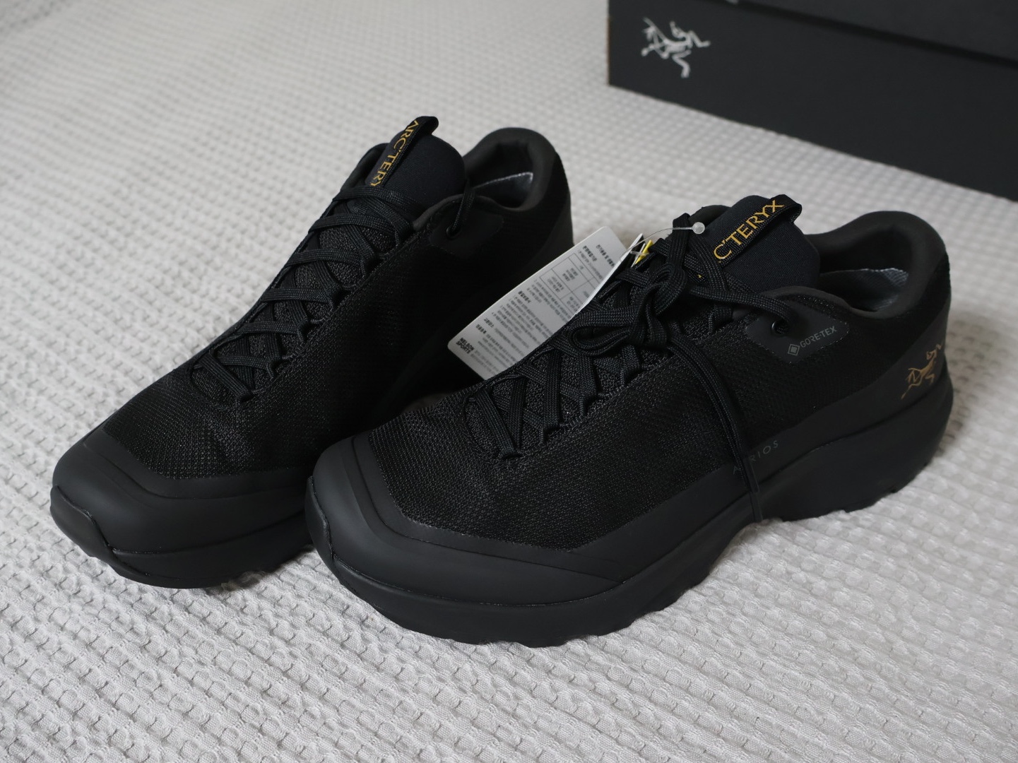 Arc'teryx Aerios FL 2 GTX Black 착용 스타일 - 1