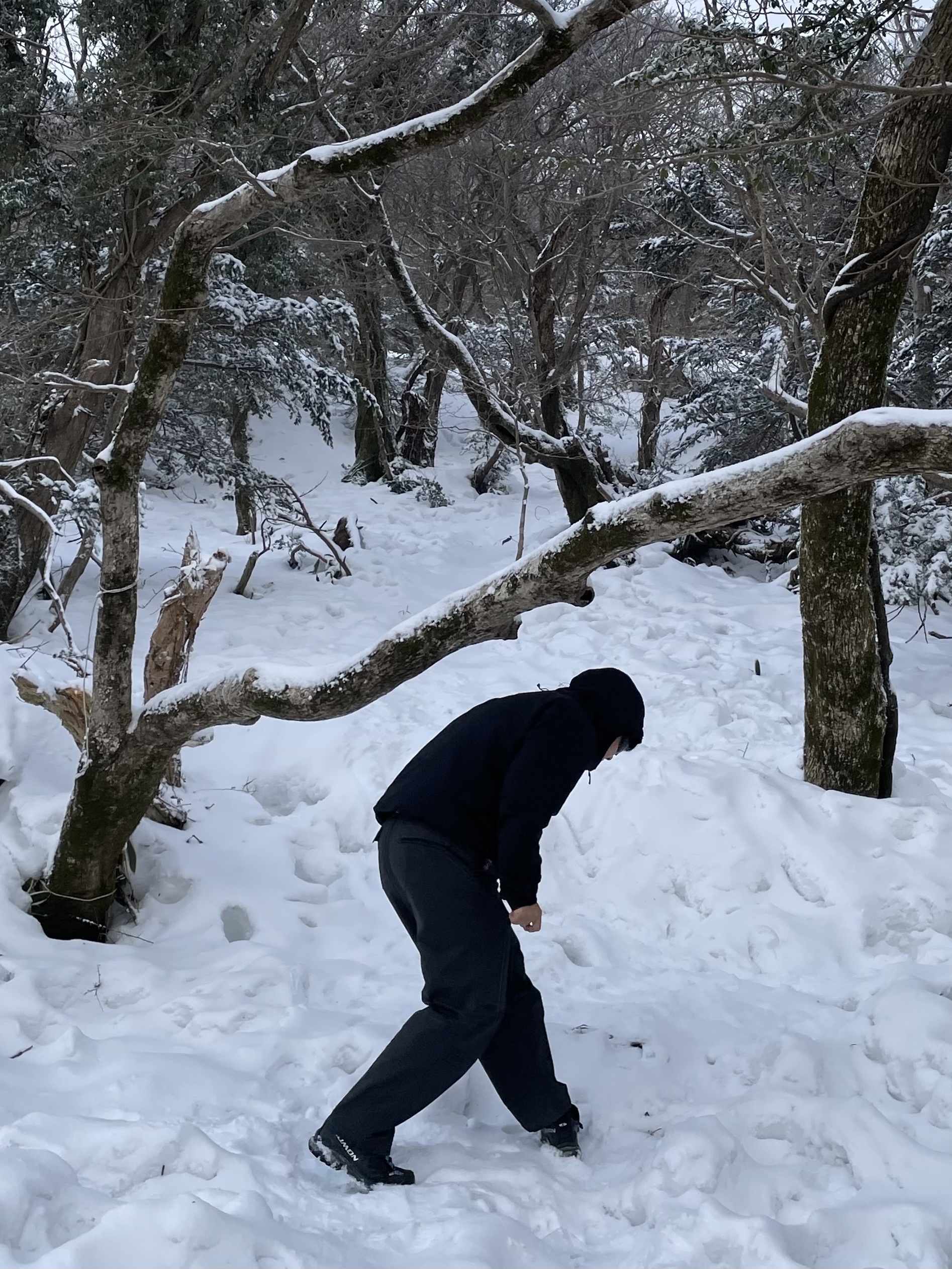 Arc'teryx Atom LT Hoody Black, Salomon XT-4 Black Silver Metallic 착용 스타일