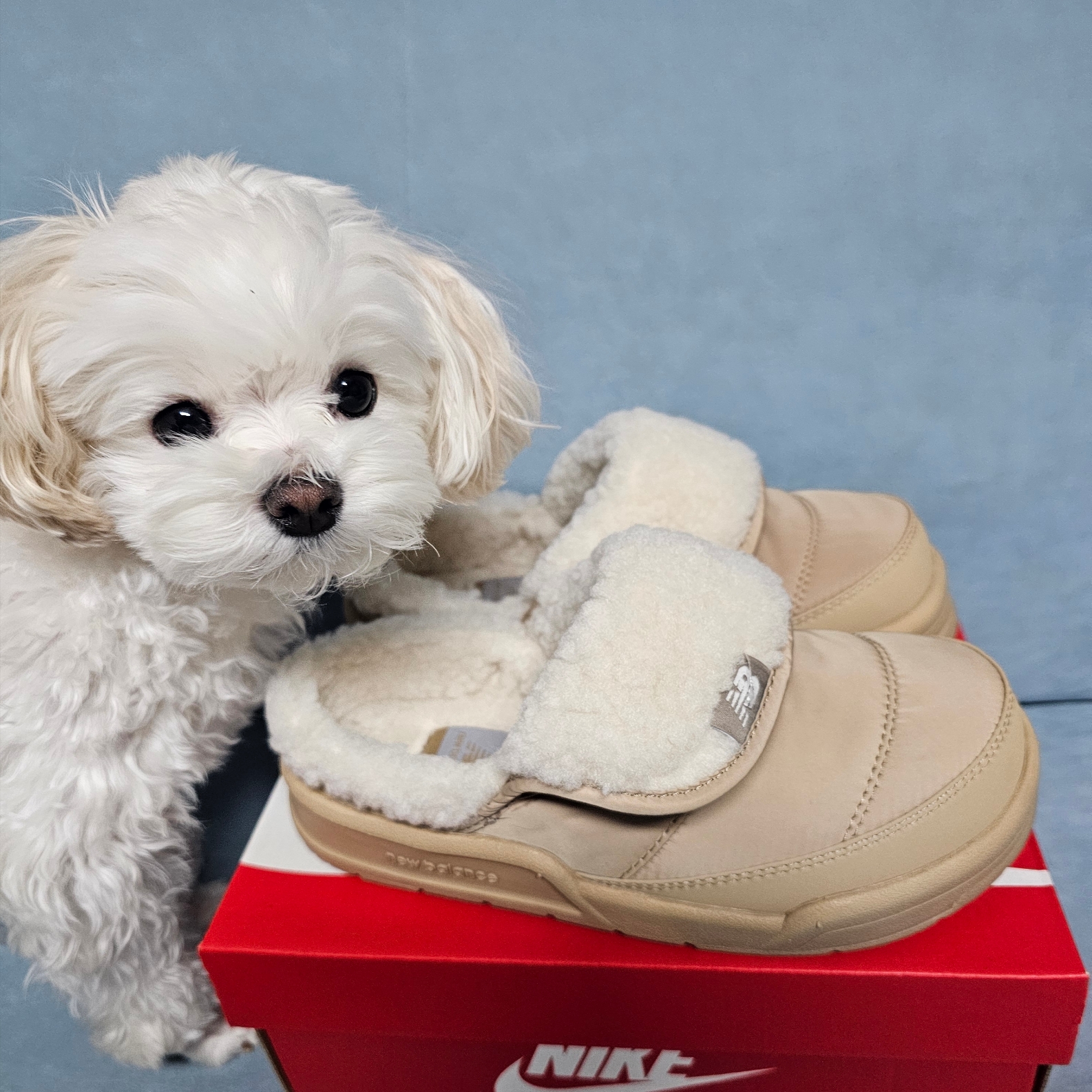 New Balance Puflee v2 Beige 착용 스타일