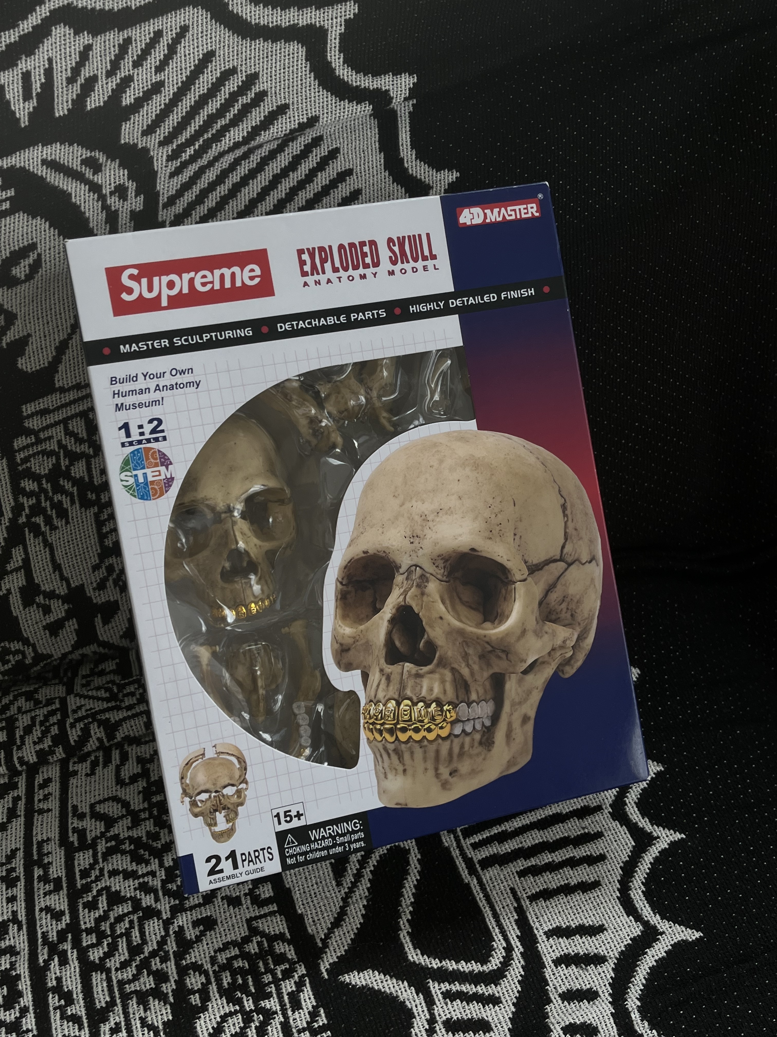 Supreme 4D Model Human Skull Natural - 23FW 착용 스타일