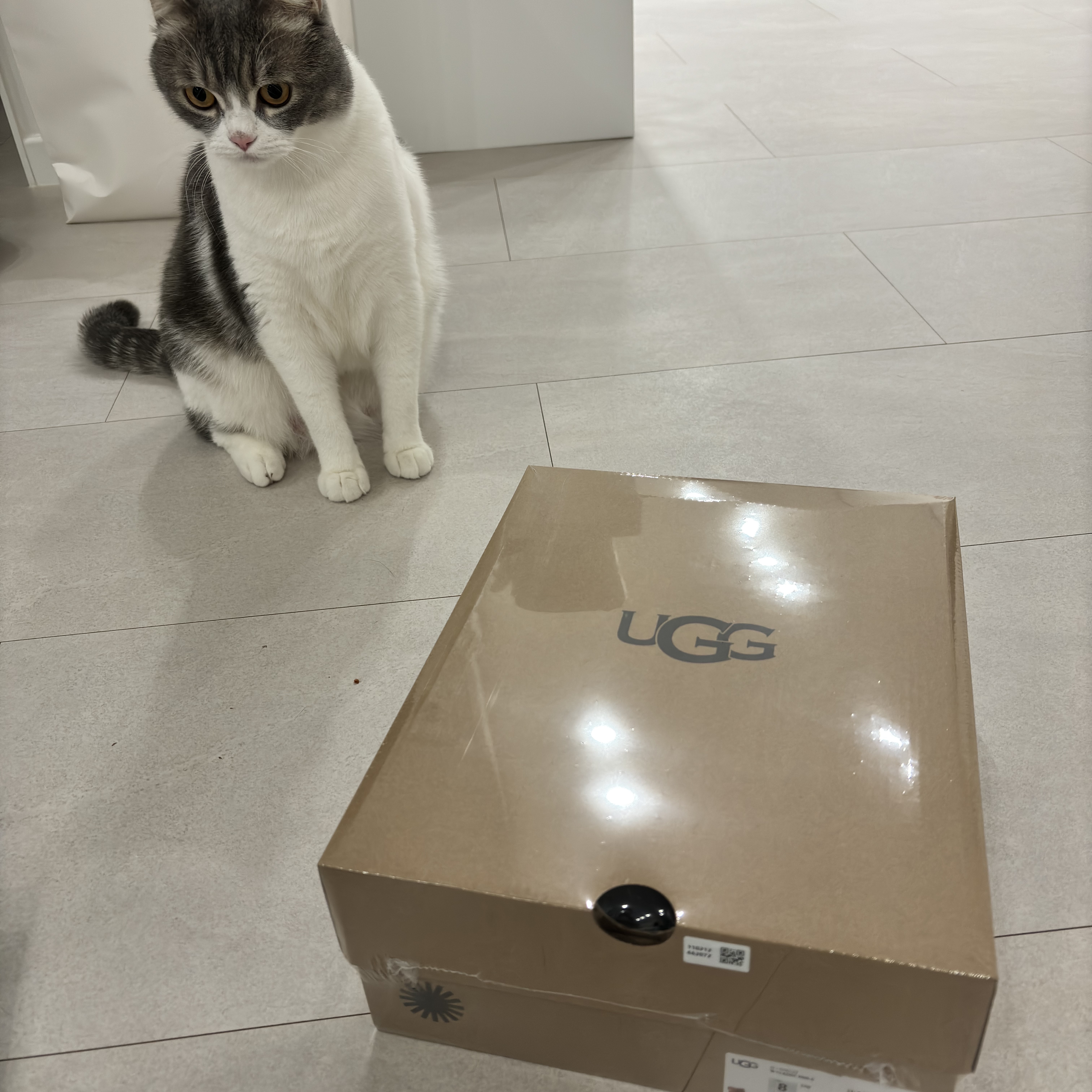 (W) UGG Classic Mini II Boots Chestnut 착용 스타일 - 3