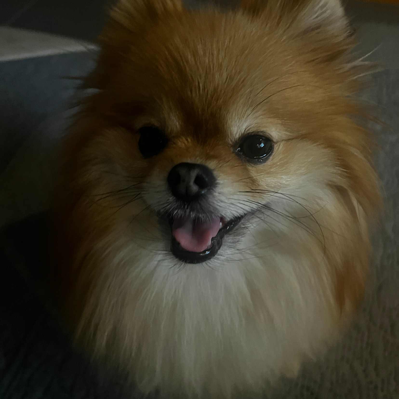 11060105님의 스타일