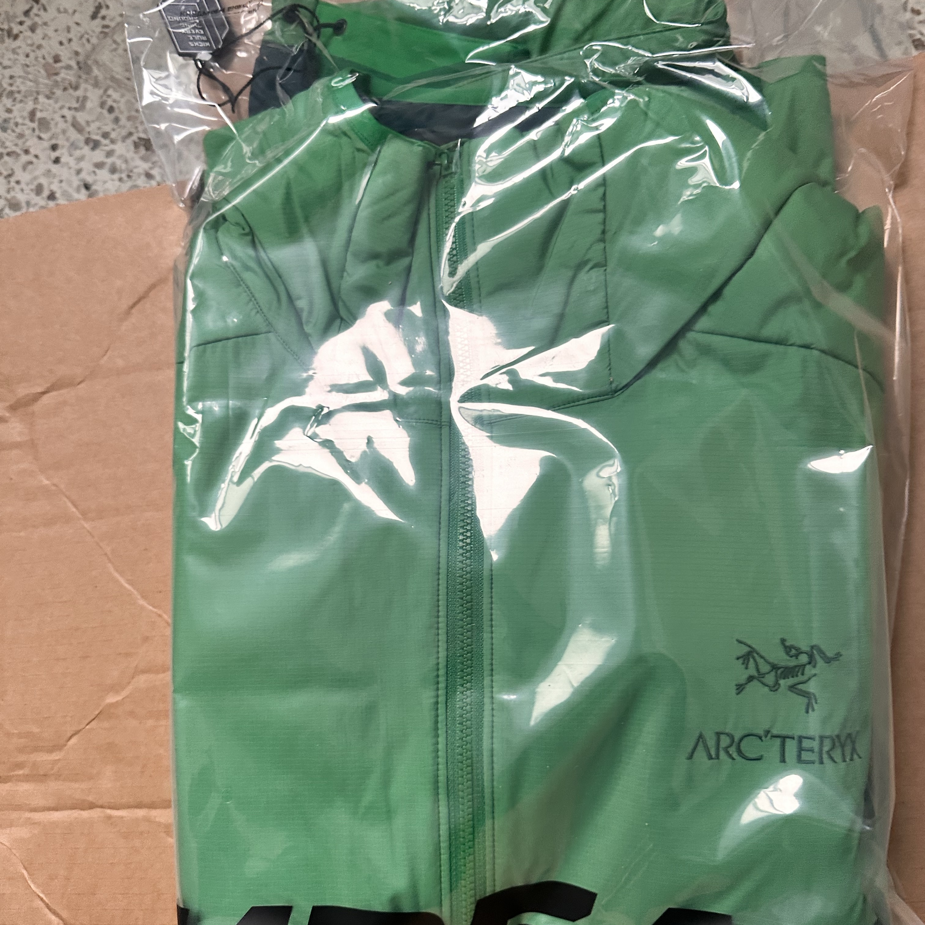 Arc'teryx Atom LT Hoody Jungle 착용 스타일 - 2
