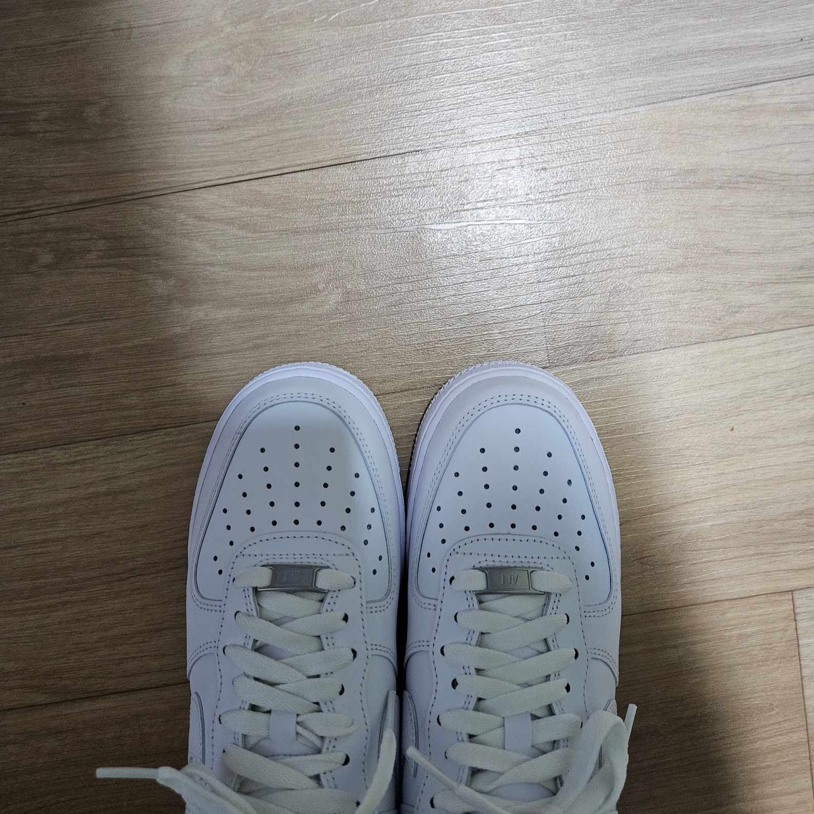 qkskskajaj12님의 스타일
