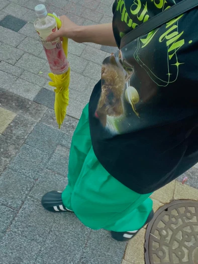 스타일 카드