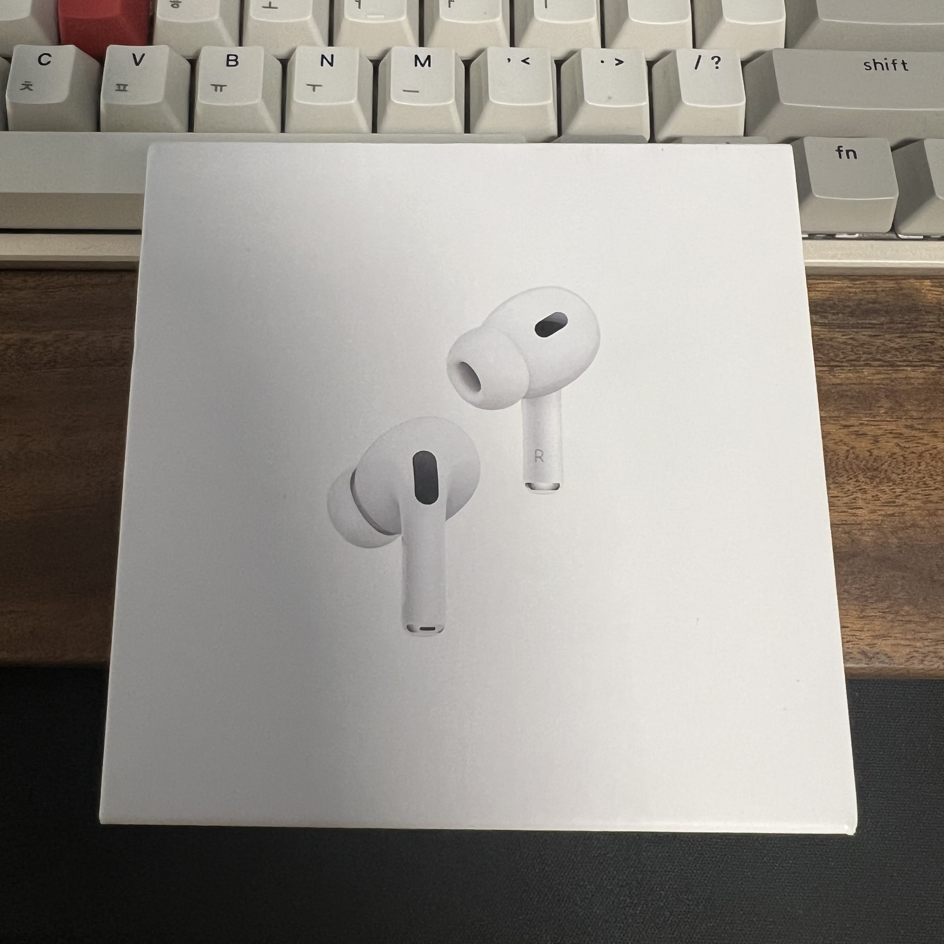 Apple Airpods Pro 2nd Gen with MagSafe Charging Case USB C (Korean Ver.) 착용 스타일
