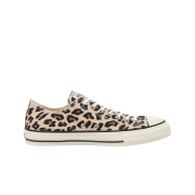 Converse x Wacko Maria Allstar OX Light Beige