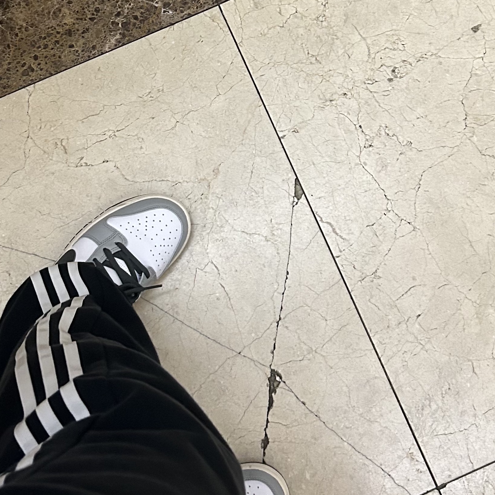 (W) Adidas Jogger Pants Black - KR Sizing, (W) Nike Dunk Low Light Smoke Grey 착용 스타일