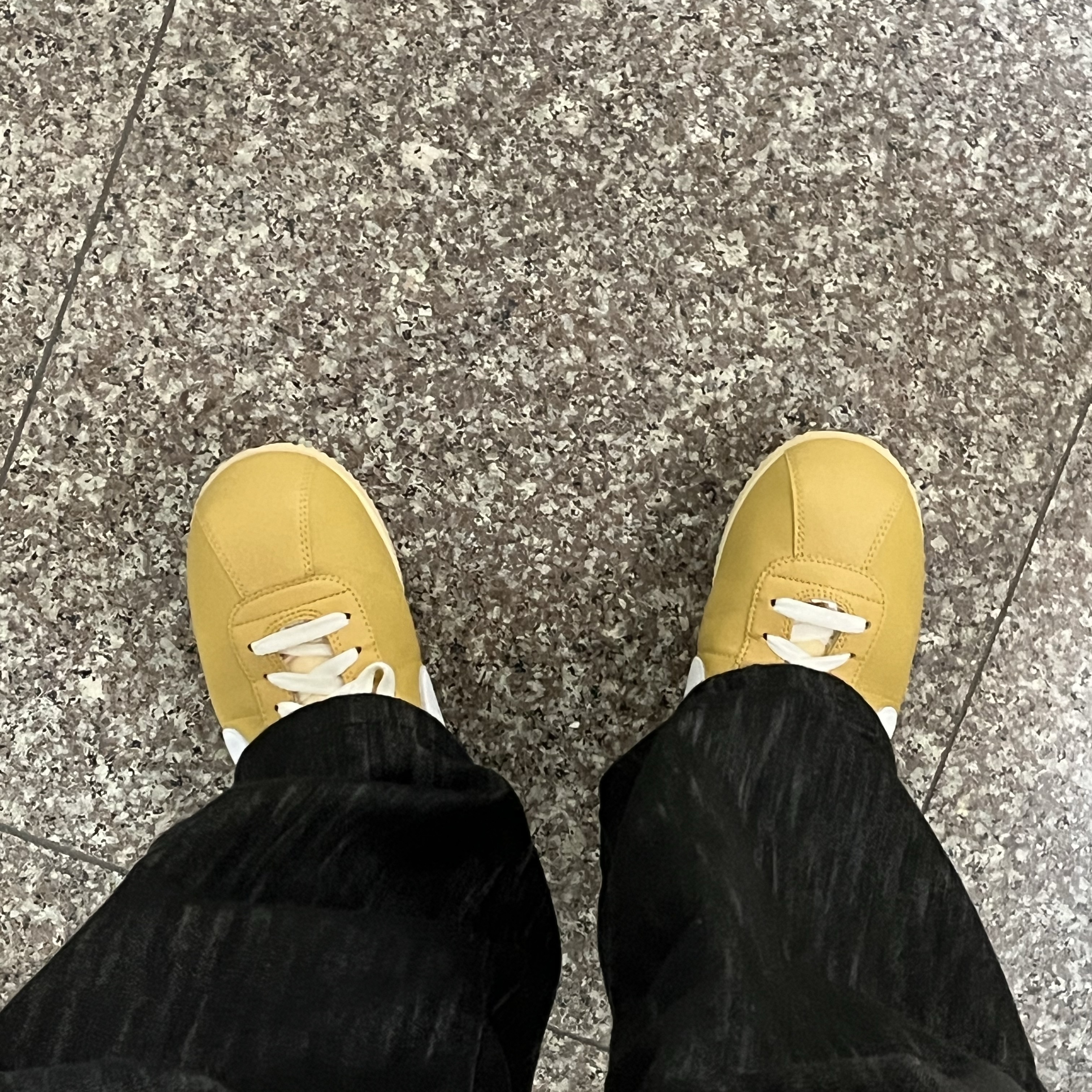 Nike Cortez 23 SE Wheat Gold 착용 스타일