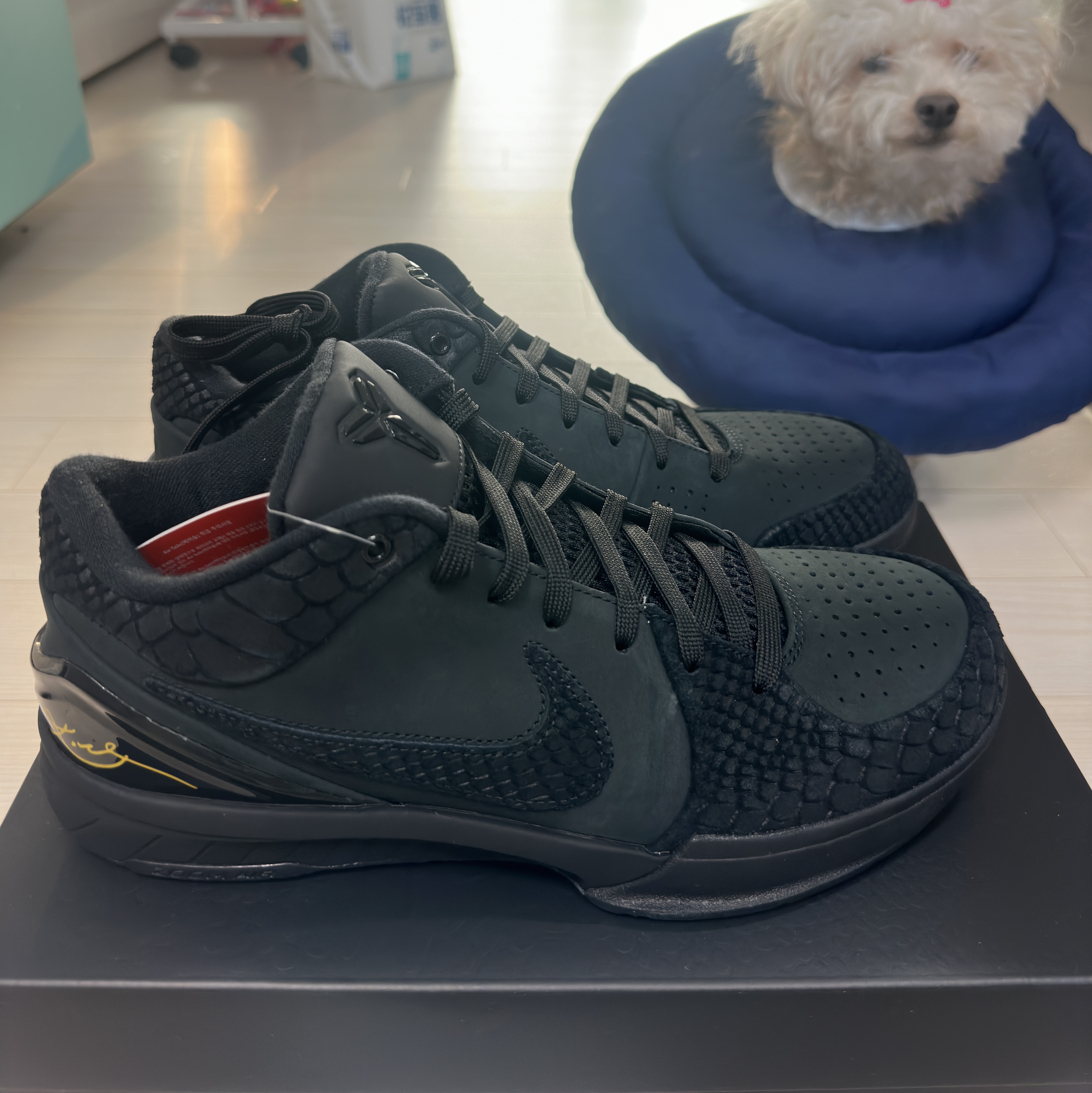 Nike Kobe 4 Protro Black University Gold 착용 스타일