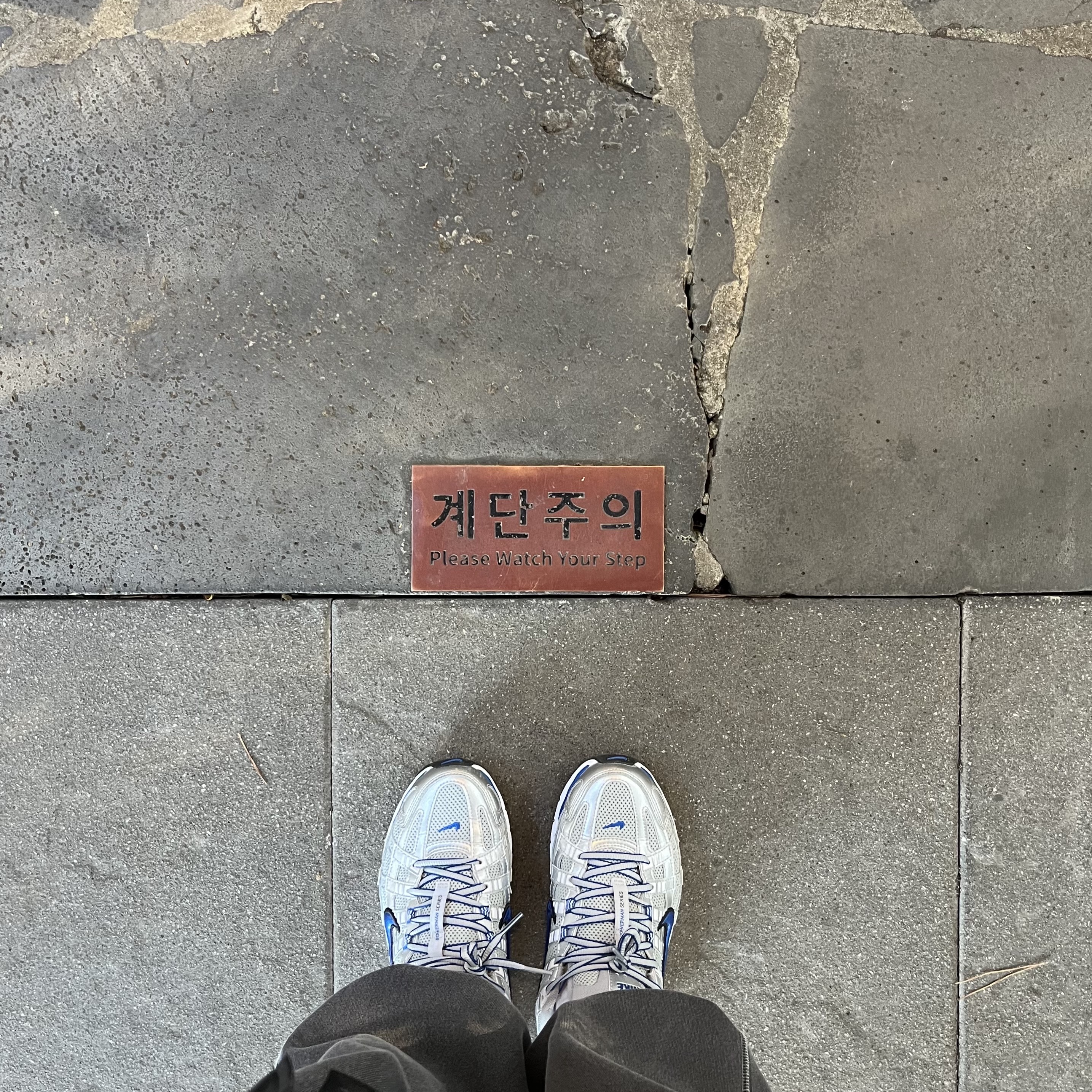 (W) Nike P-6000 Laser Blue 착용 스타일