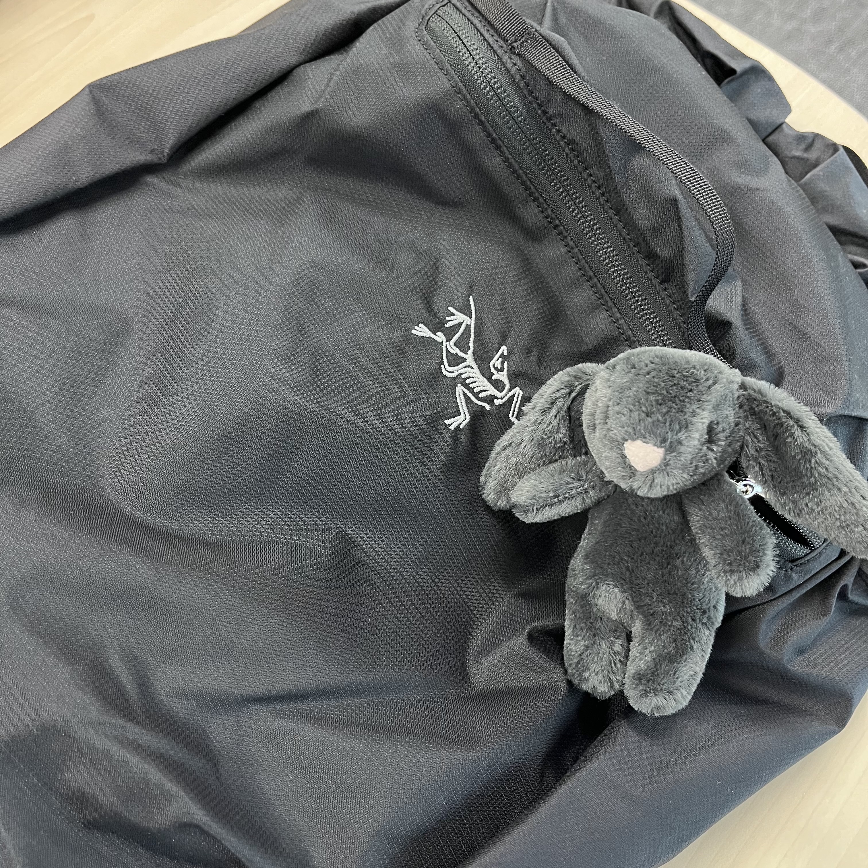 Arc'teryx Heliad 10 Backpack Black, Jellycat Bashful Bunny Bag Charm Ink 착용 스타일