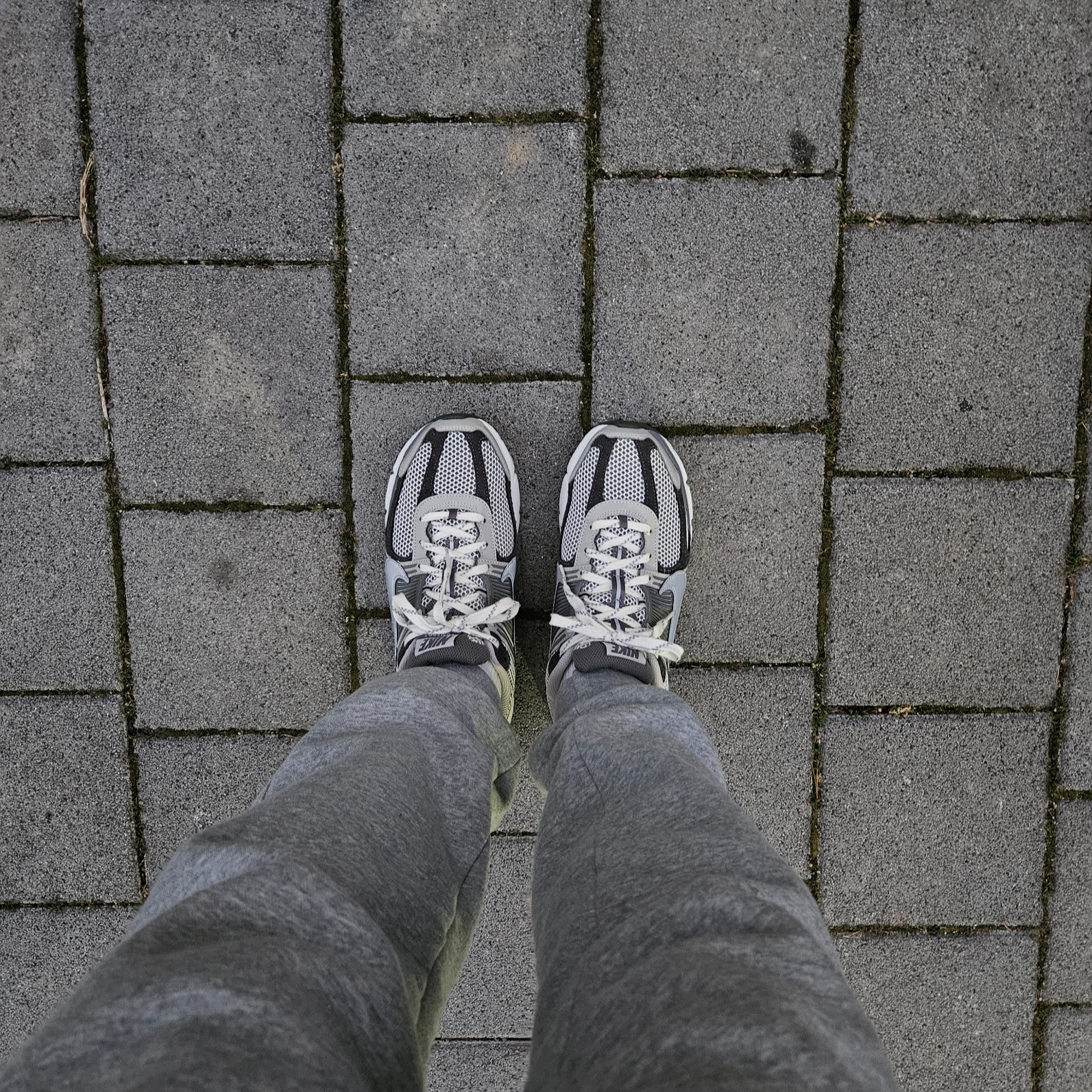 (W) Nike Zoom Vomero 5 Cobblestone and Flat Pewter 착용 스타일