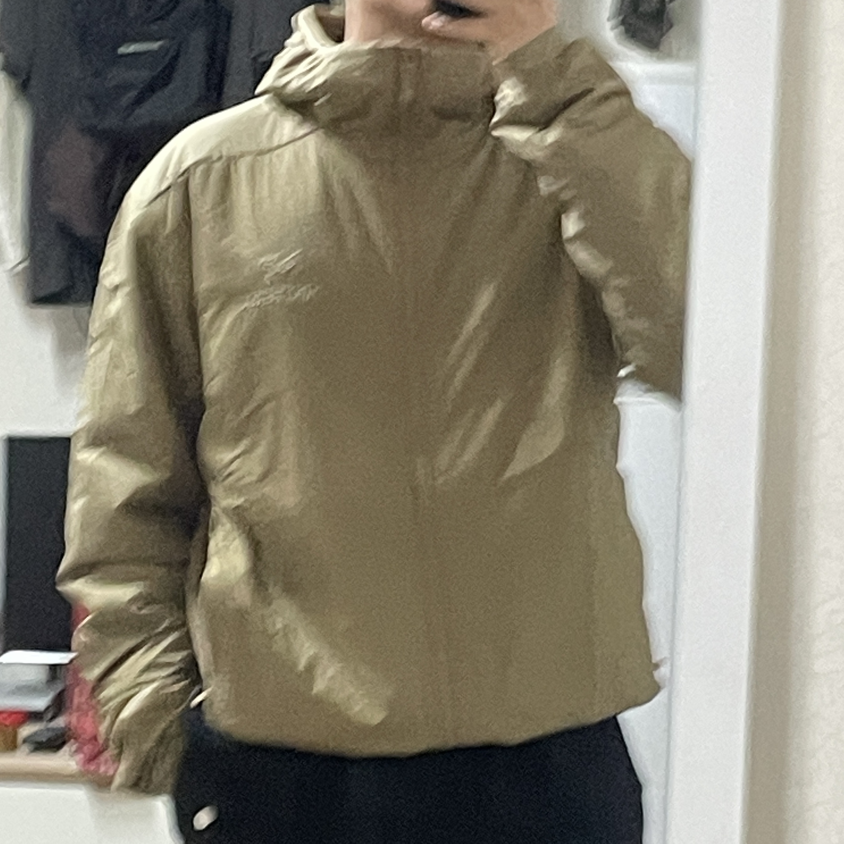 Arc'teryx Atom LT Hoody Canvas 착용 스타일