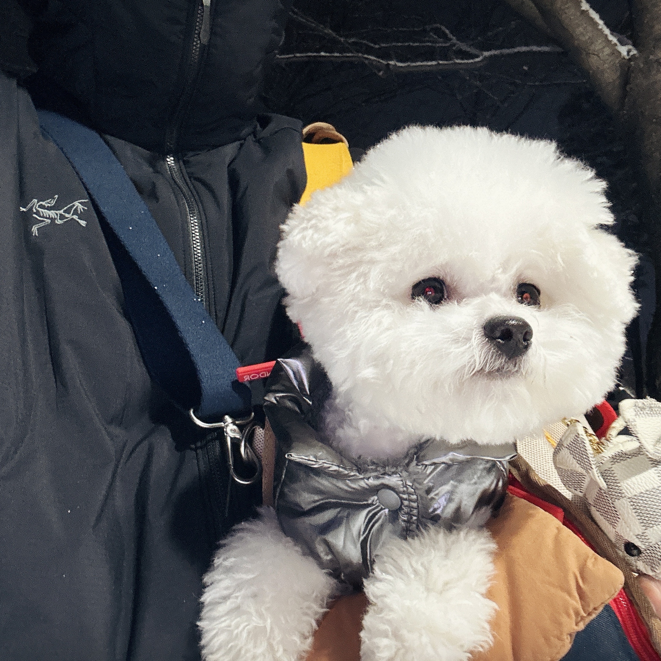 Arc'teryx Atom Heavyweight Hoody Black 착용 스타일