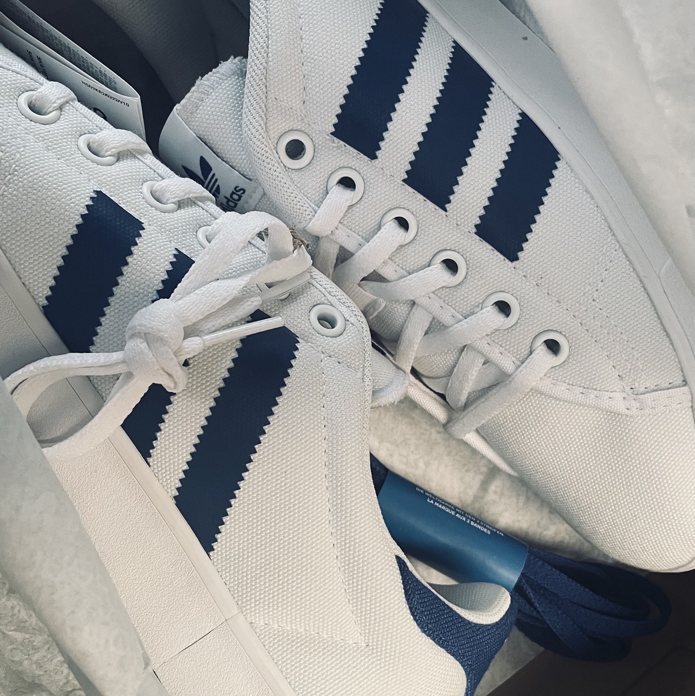 Adidas Gazelle Off White Dark Blue 착용 스타일