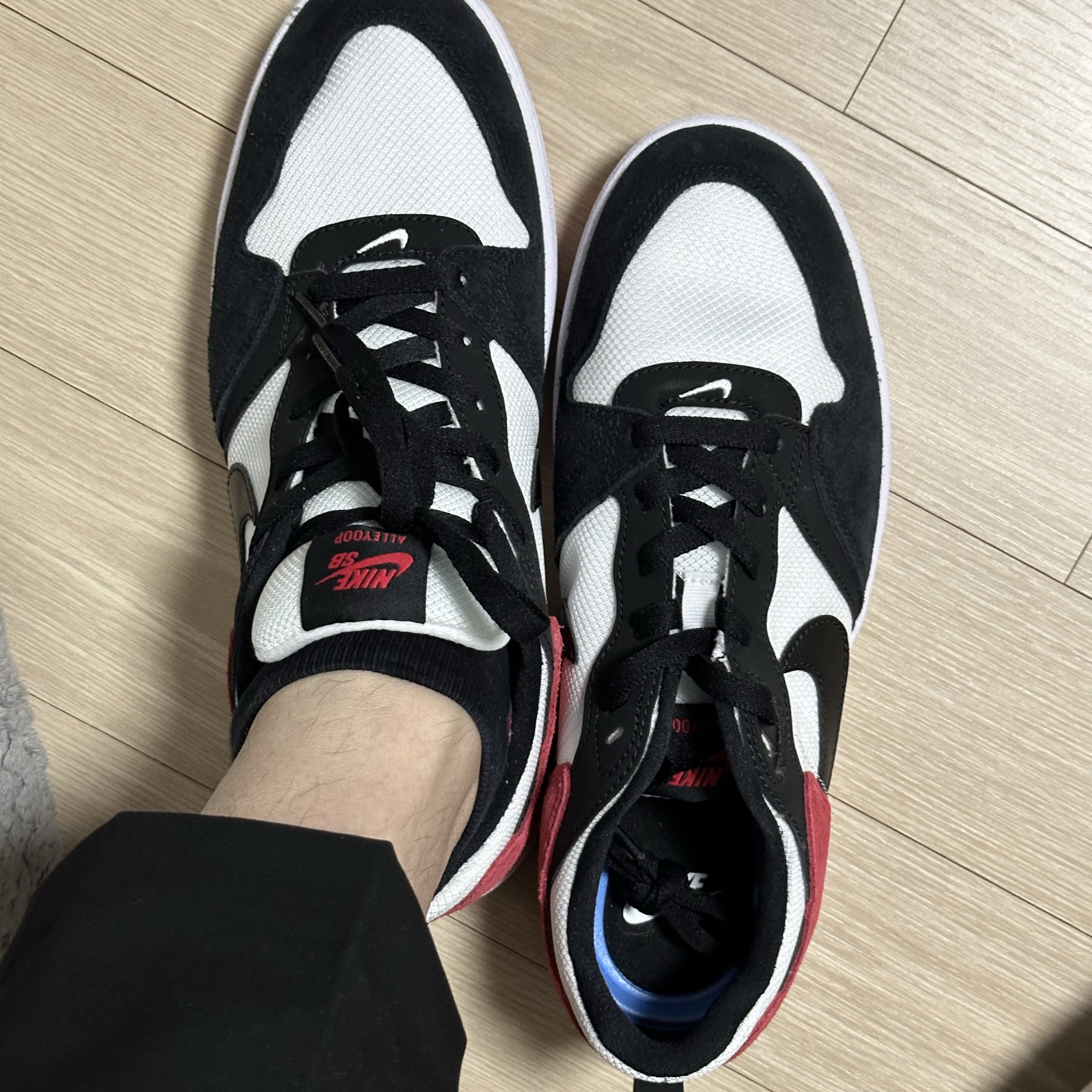 Nike SB Alleyoop University Red 착용 스타일