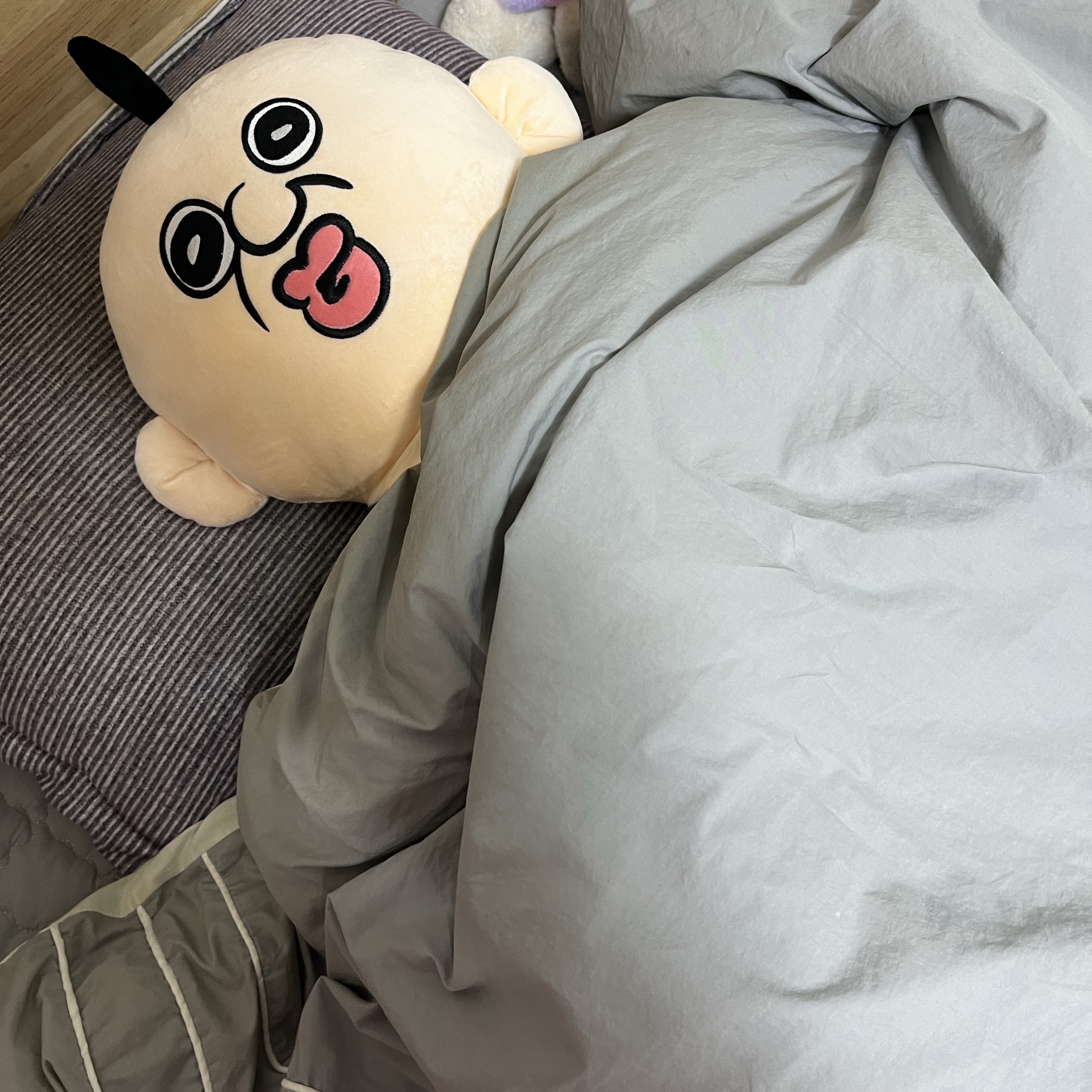 Bbangbbang Big Body Pillow 착용 스타일